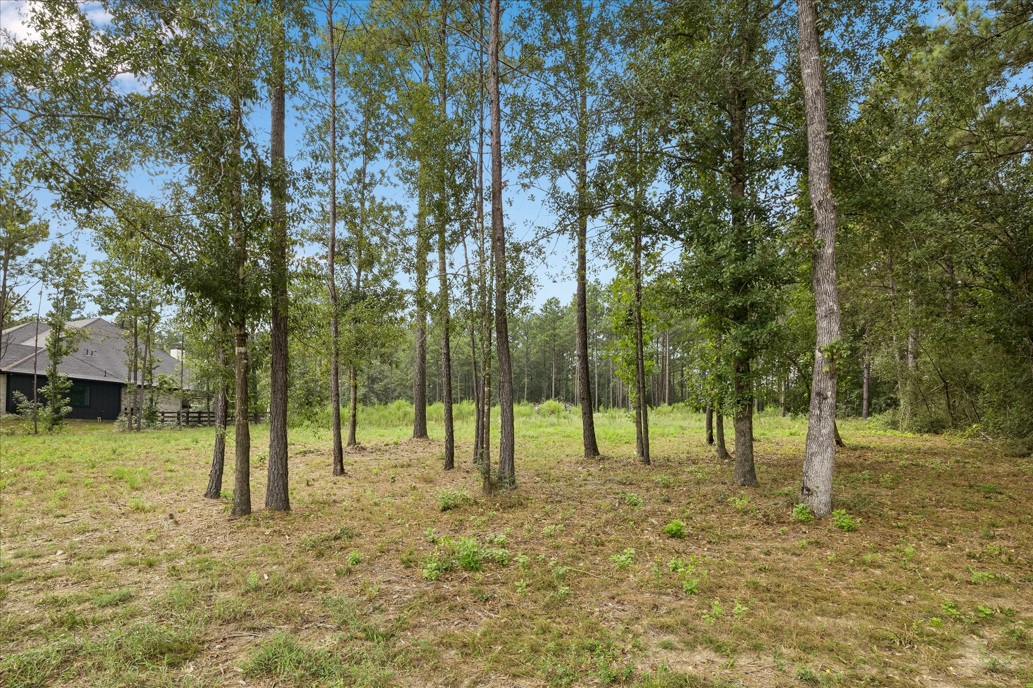 25171 Balmorhea Way Property Photo 4