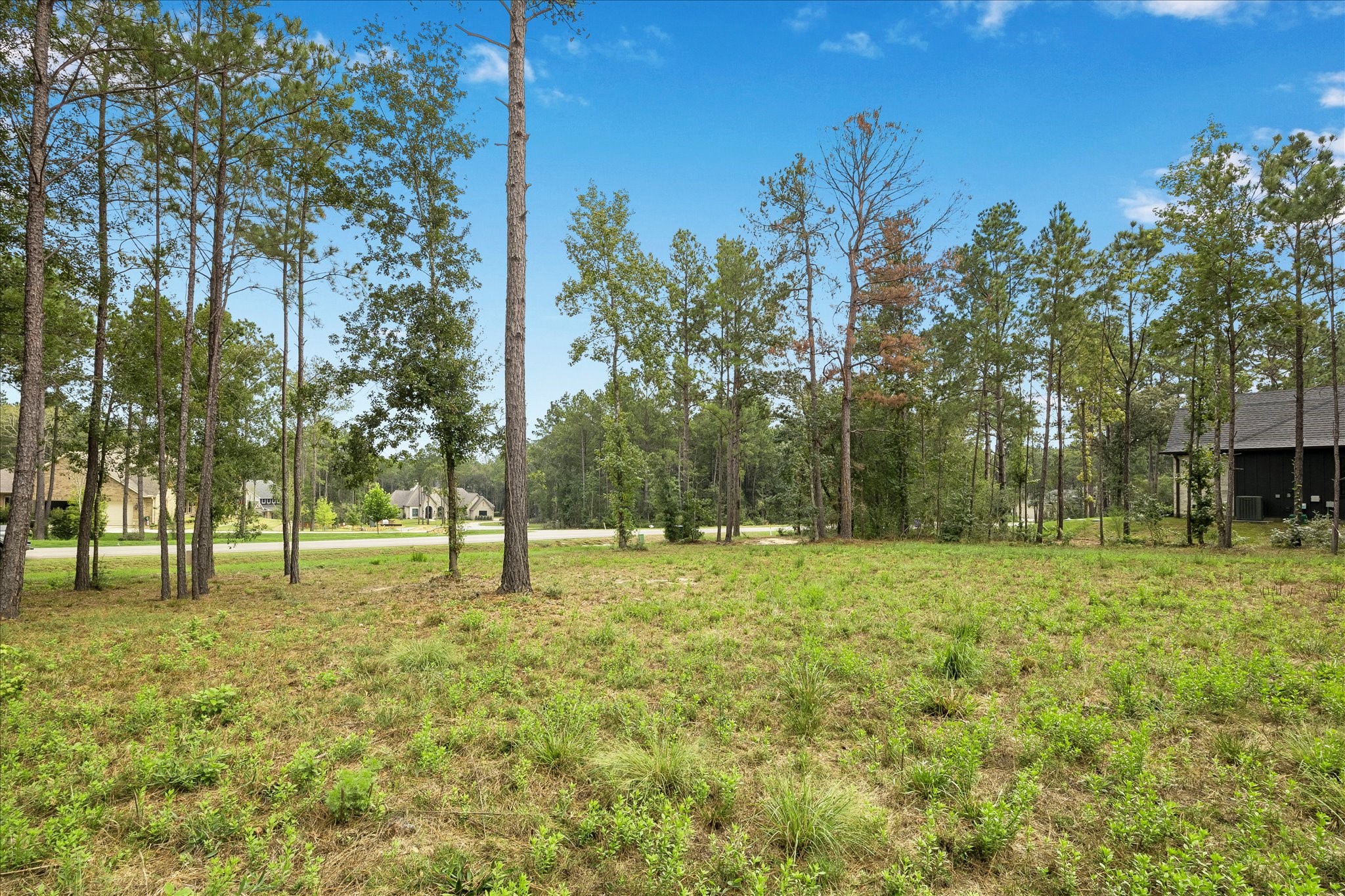 25171 Balmorhea Way Property Photo 7
