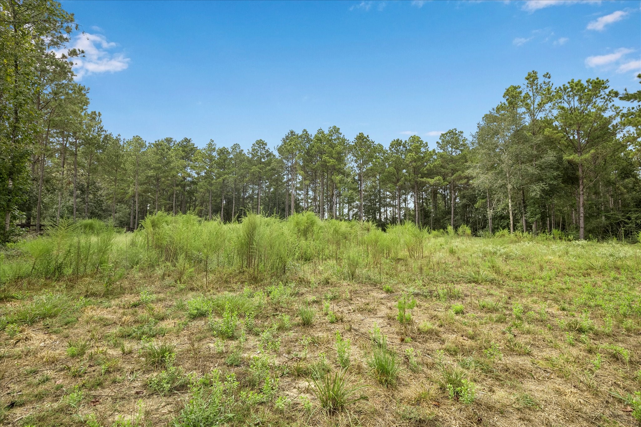 25171 Balmorhea Way Property Photo 8