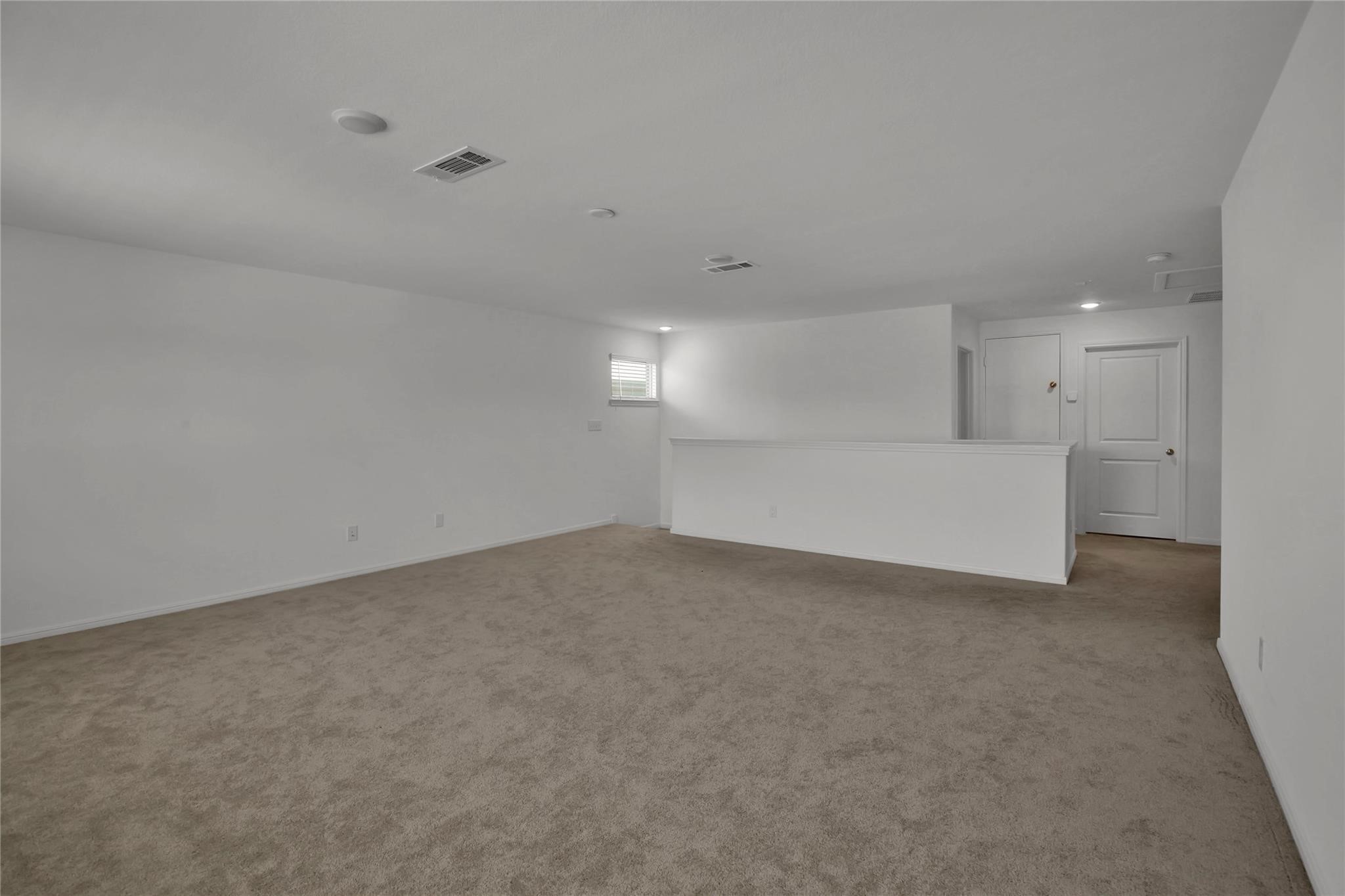 234 Pine Cavern Drive Property Photo 21