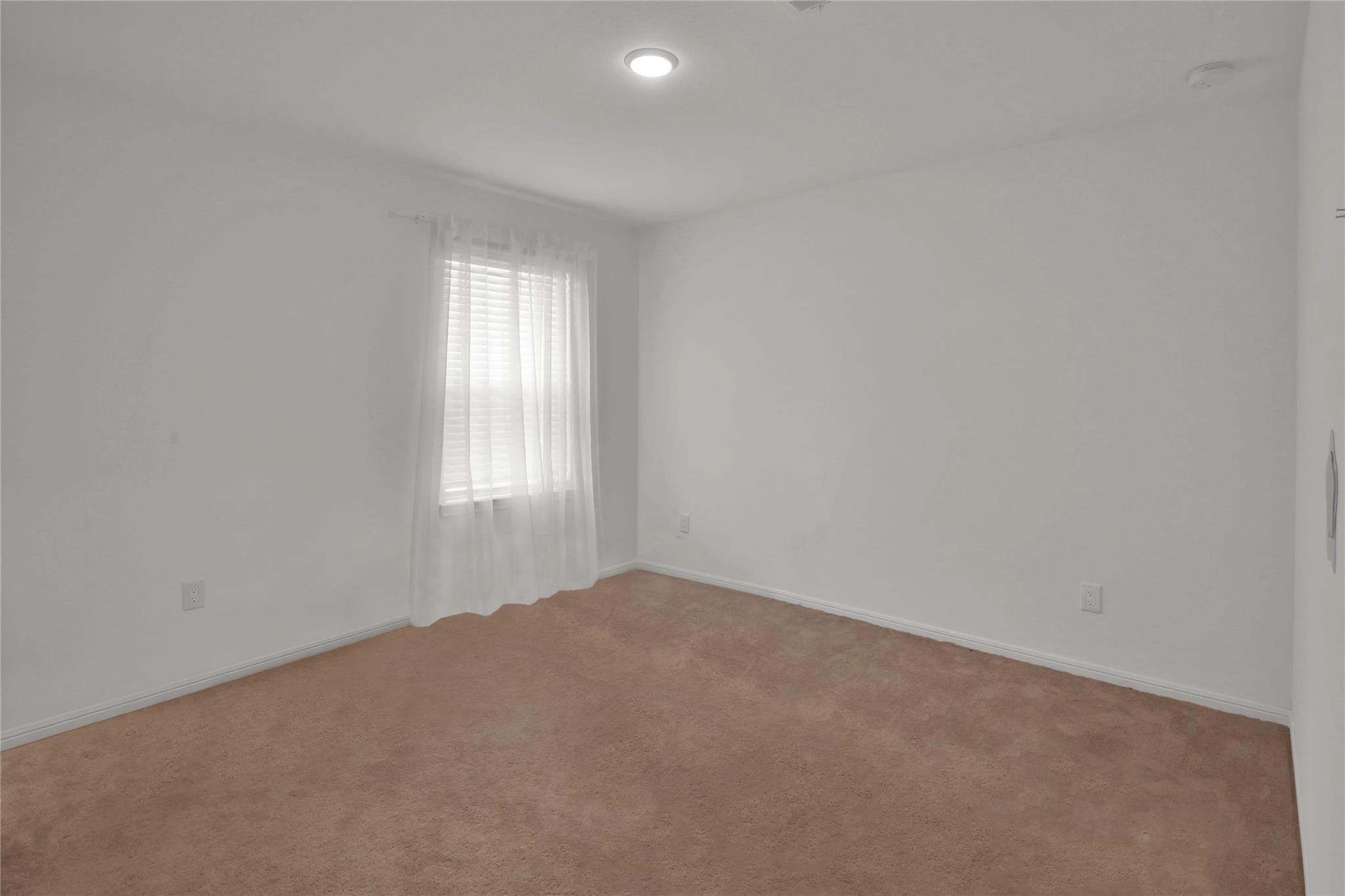 234 Pine Cavern Drive Property Photo 22