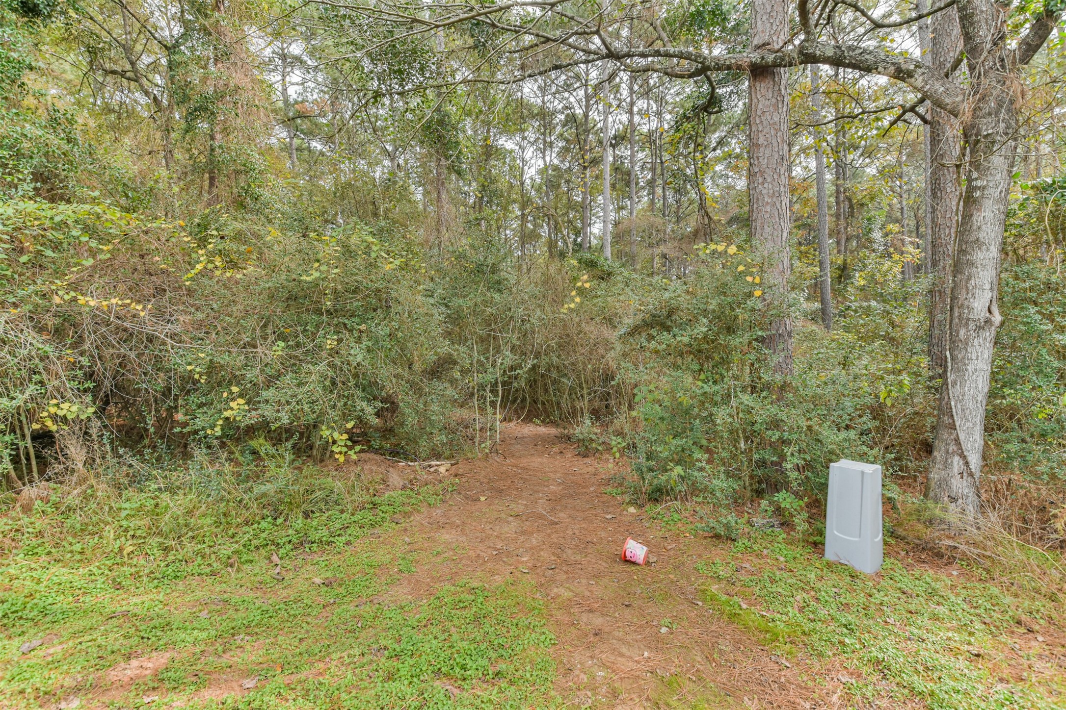 15514 Hickory Drive Property Photo 17