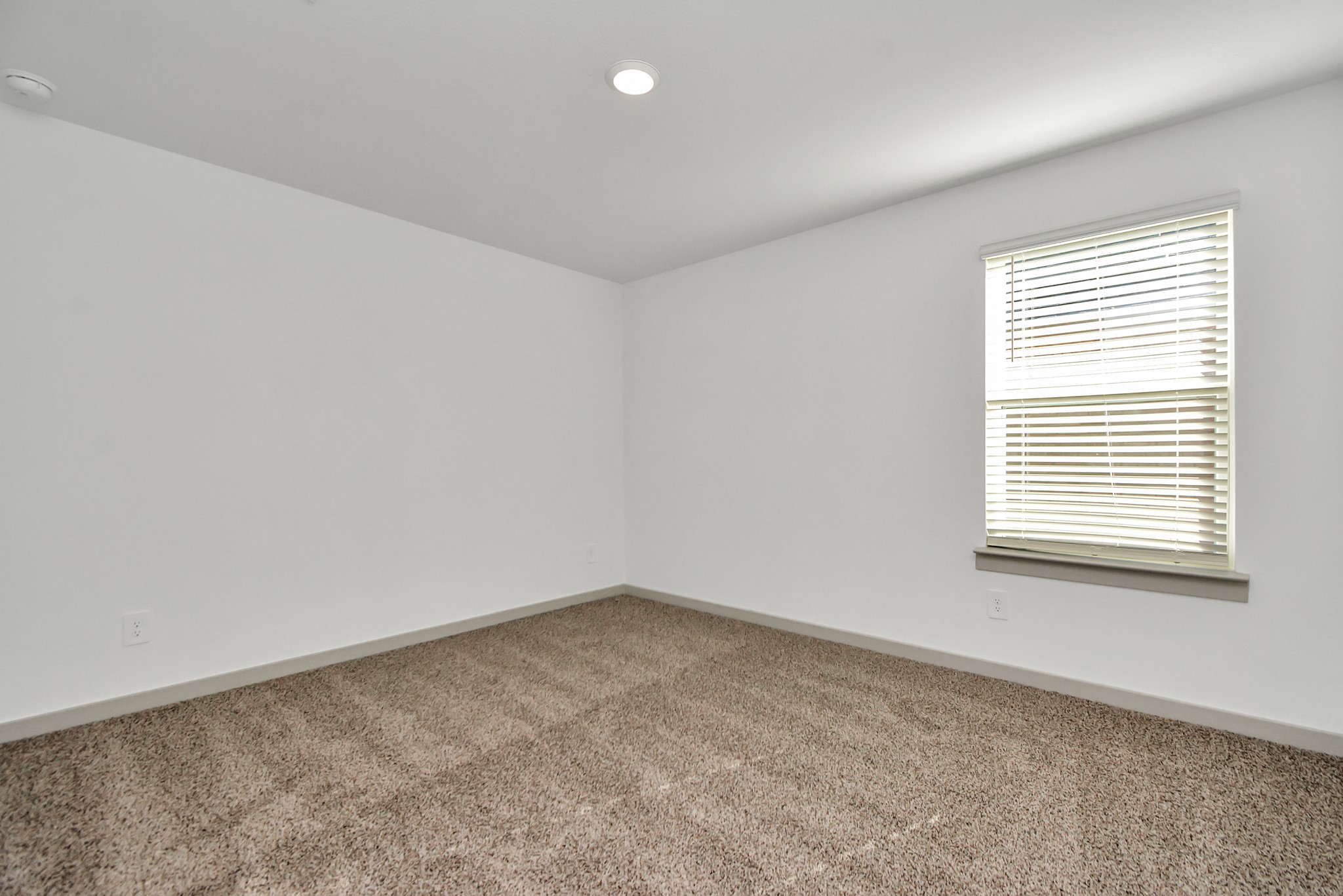 1114 Hughes Crossing Drive Property Photo 6