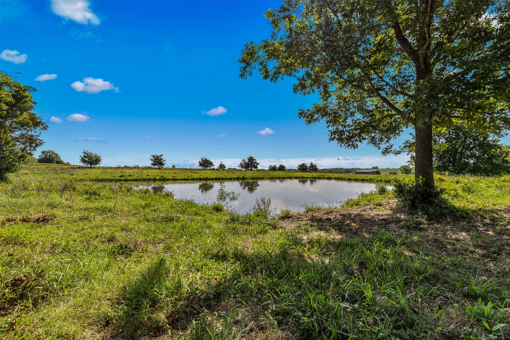 1619 S State Highway 237 Property Photo 1