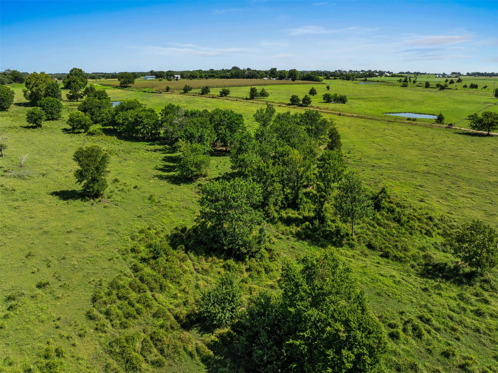 1619 S State Highway 237 Property Photo 15