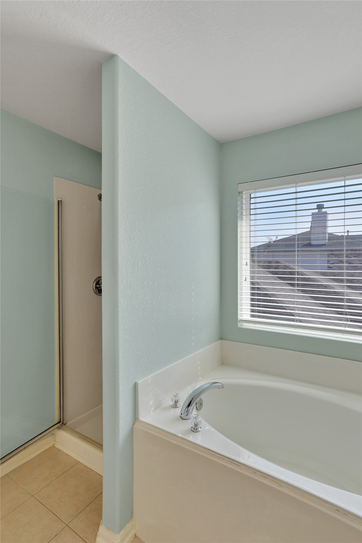 17922 Mission Bluff Lane Property Photo 12