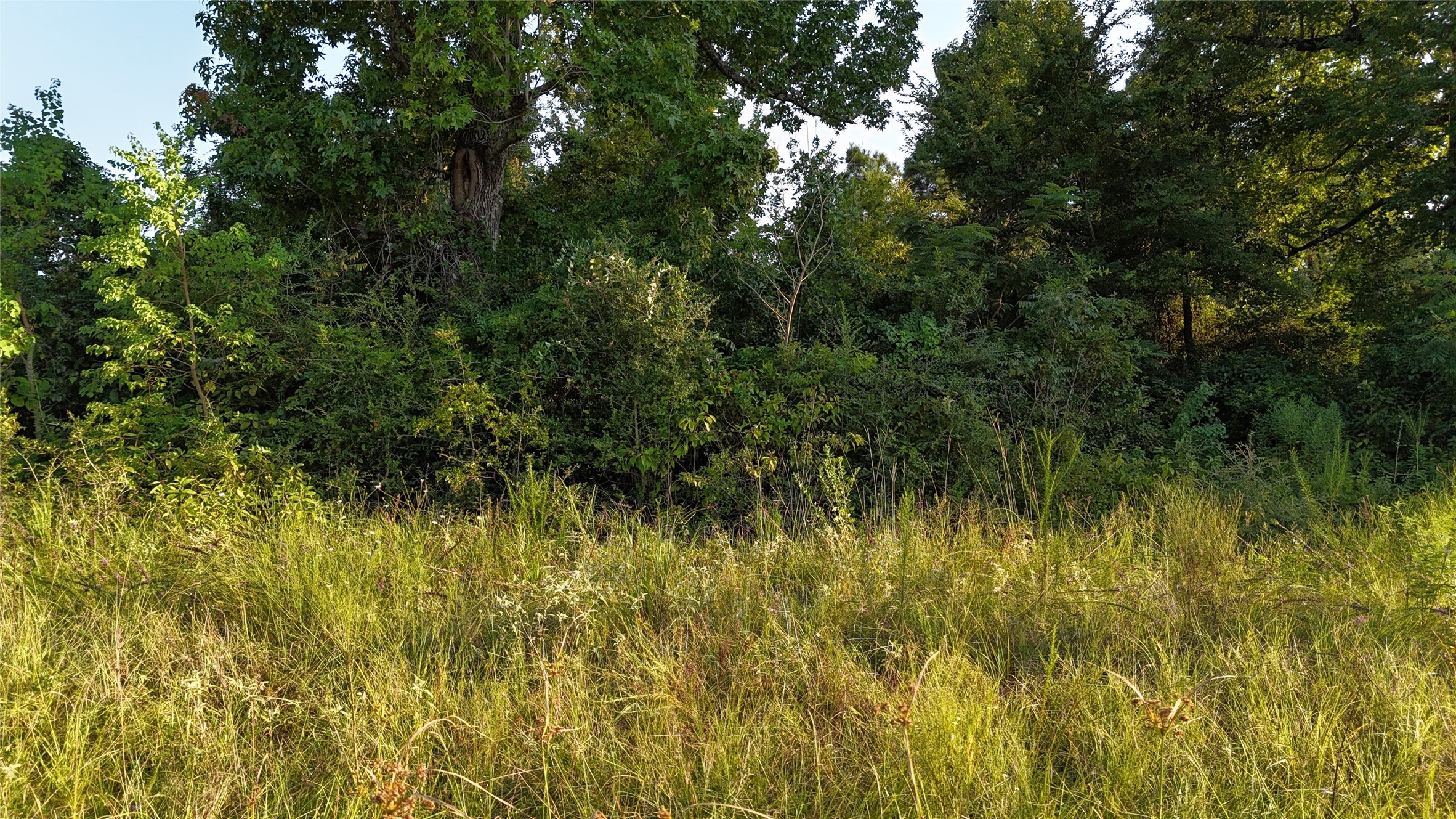 Tbd Long Drive Property Photo 2