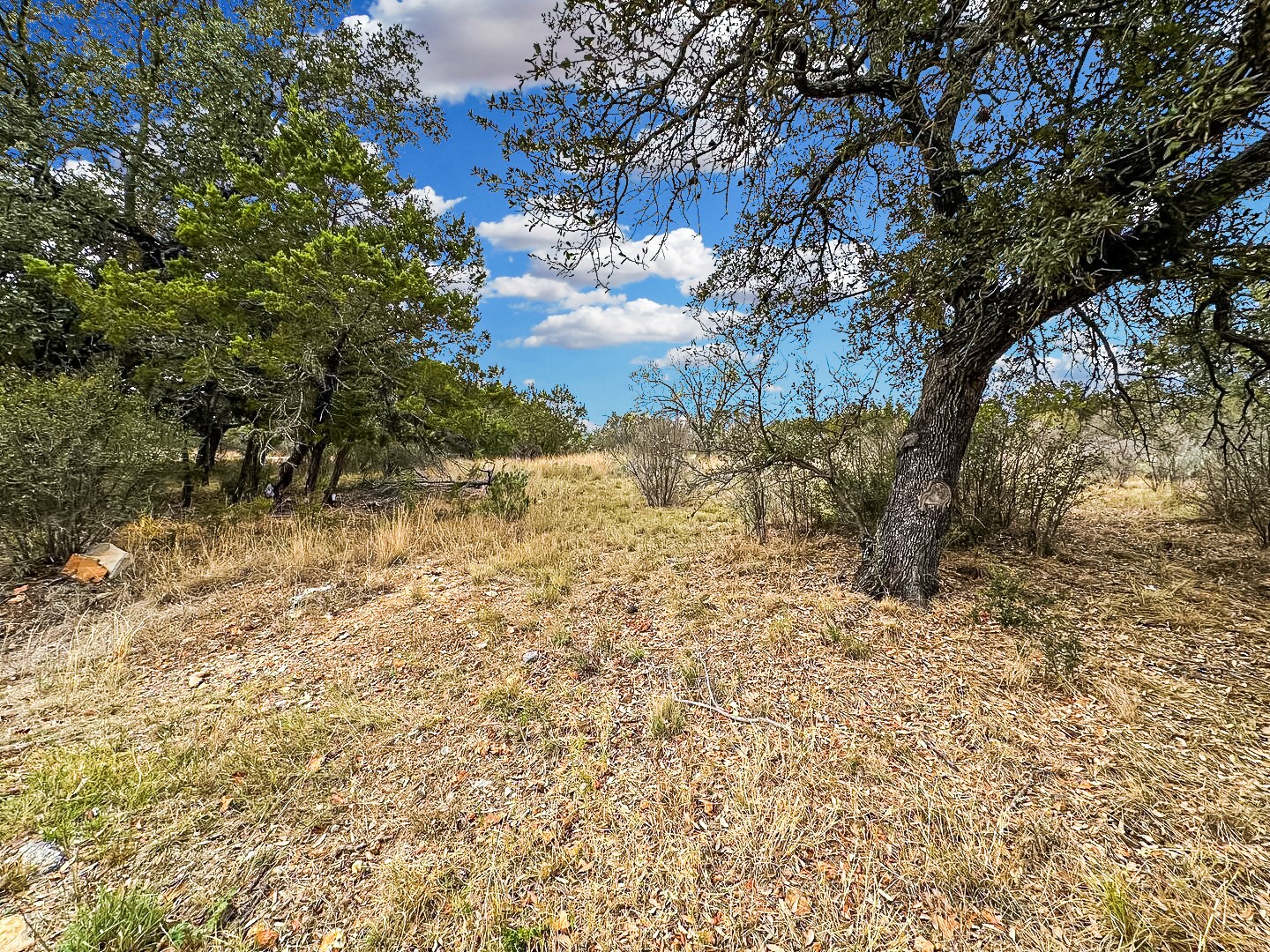 TBD Silver Dollar Property Photo 1