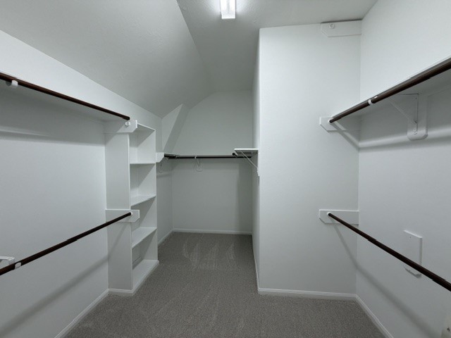 203 Fairwind Trail Drive Property Photo 16