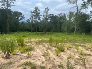 1655 Clark Rd Property Photo 8