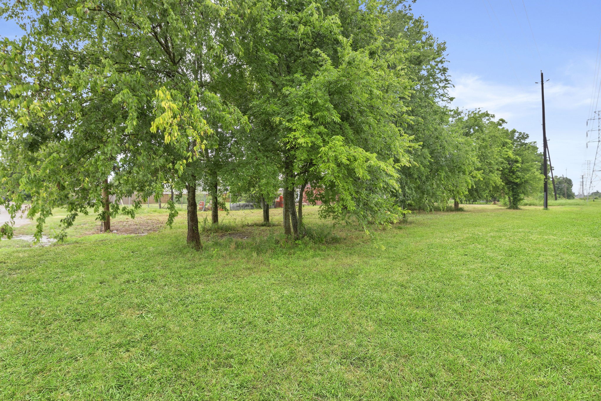 0 Carnation Street Property Photo 7