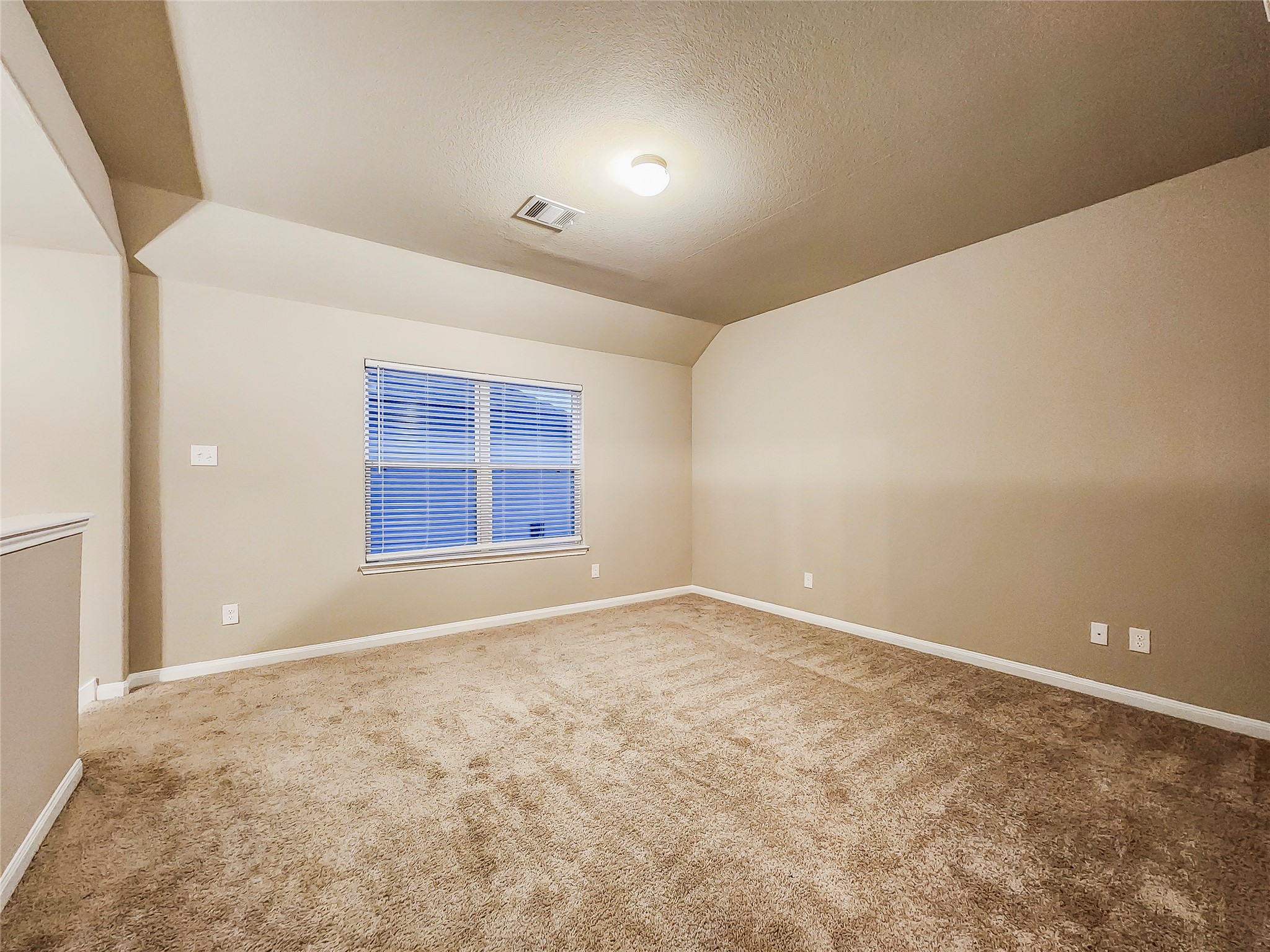 4329 Mcgregor Bluff Lane Property Photo 7
