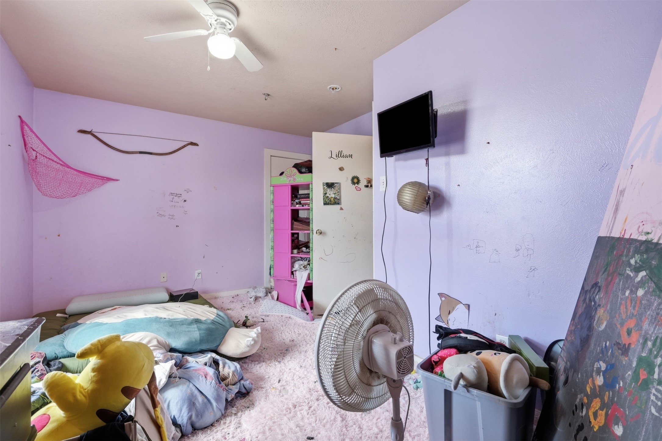 7315 Village Lake Drive Property Photo 23