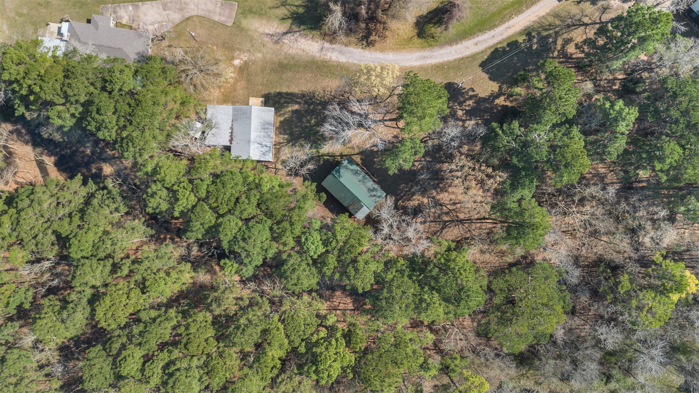 243 Silver Hickory Drive Property Photo 18