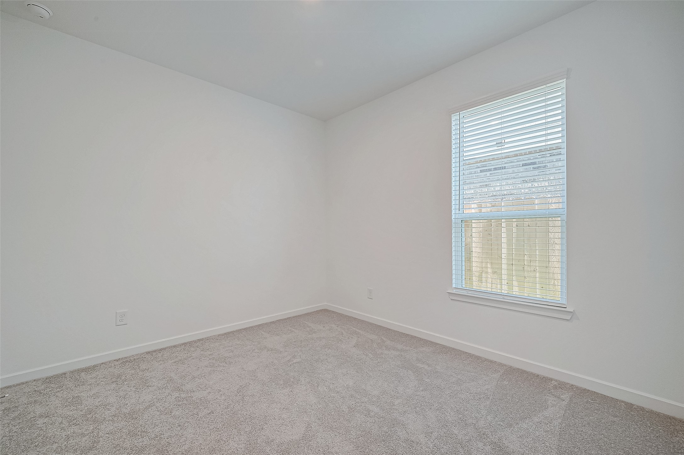 22111 Ingham Bluff Lane Property Photo 34