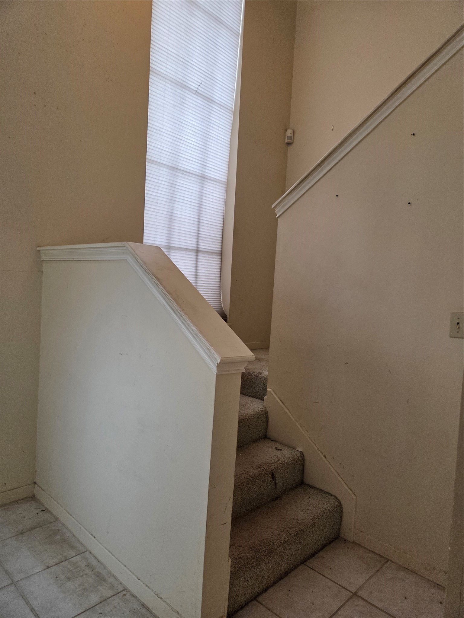 7971 Kendalia Drive Property Photo 11