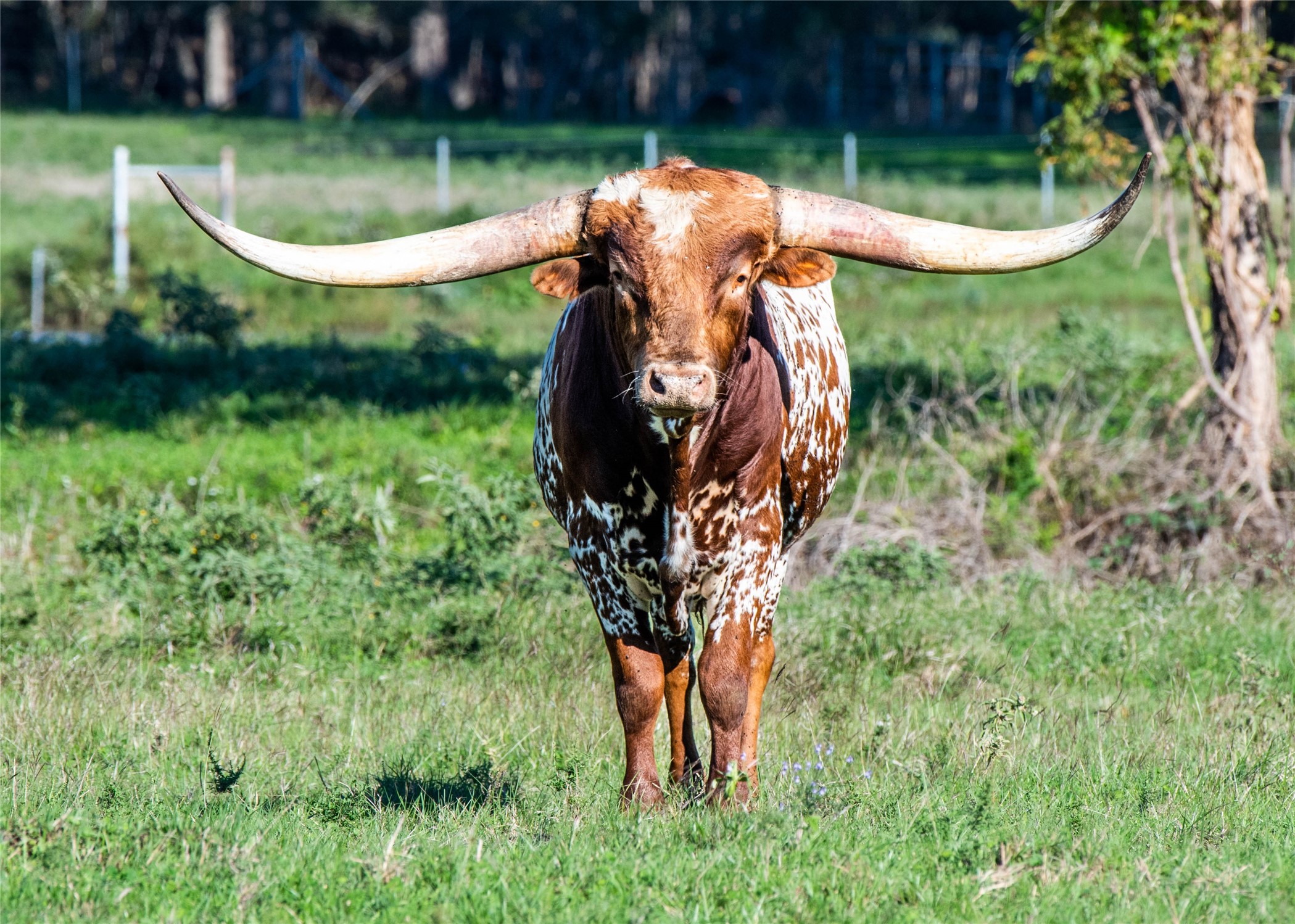 21735 Fm 1887 Road Property Photo 36