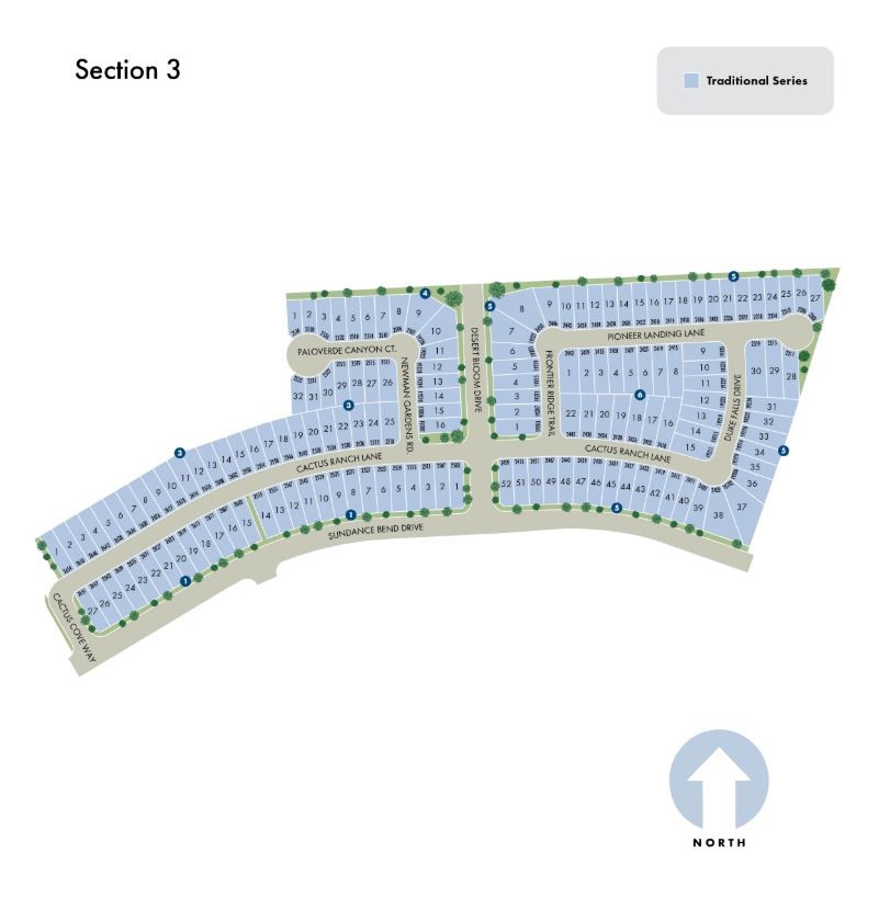 2542 Cactus Ranch Lane Property Photo 3