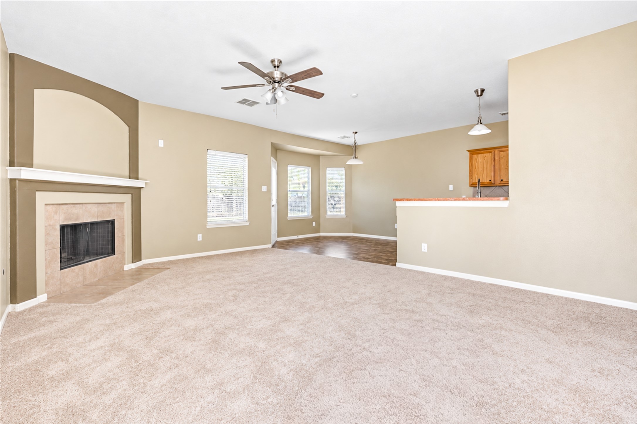 25203 Spring Iris Lane Property Photo 6