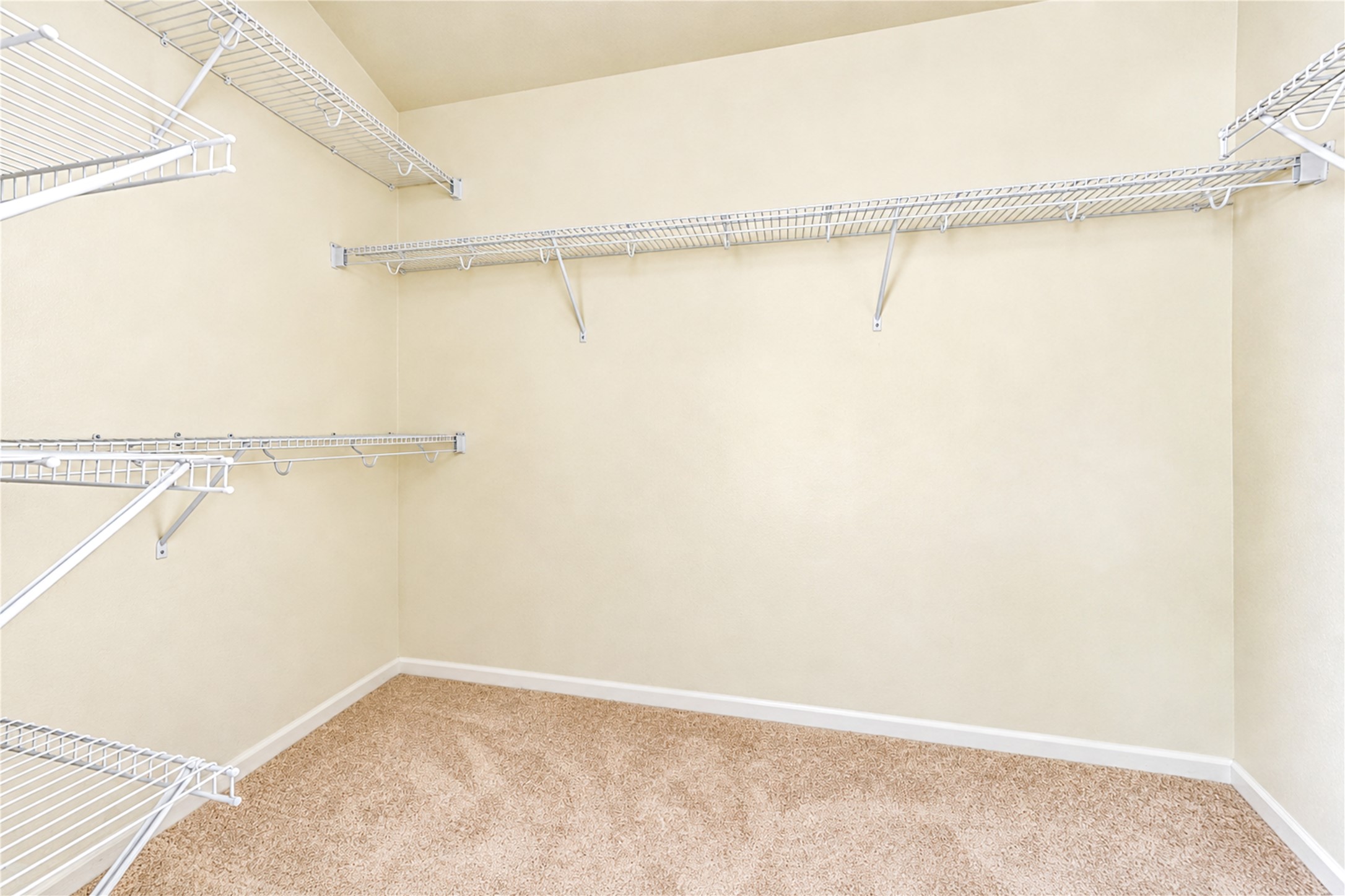 25203 Spring Iris Lane Property Photo 22
