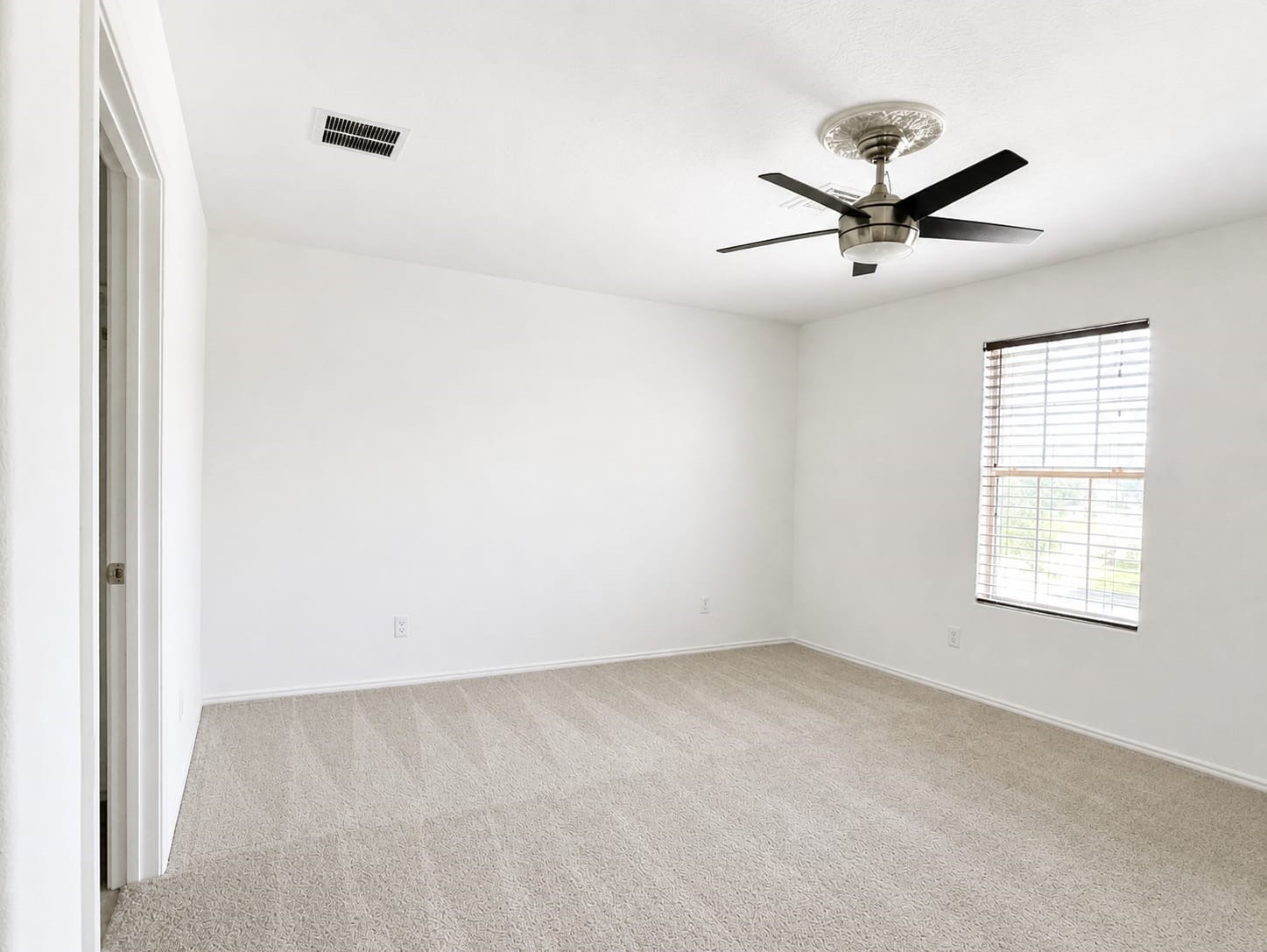 1011 Backland Court Property Photo 18