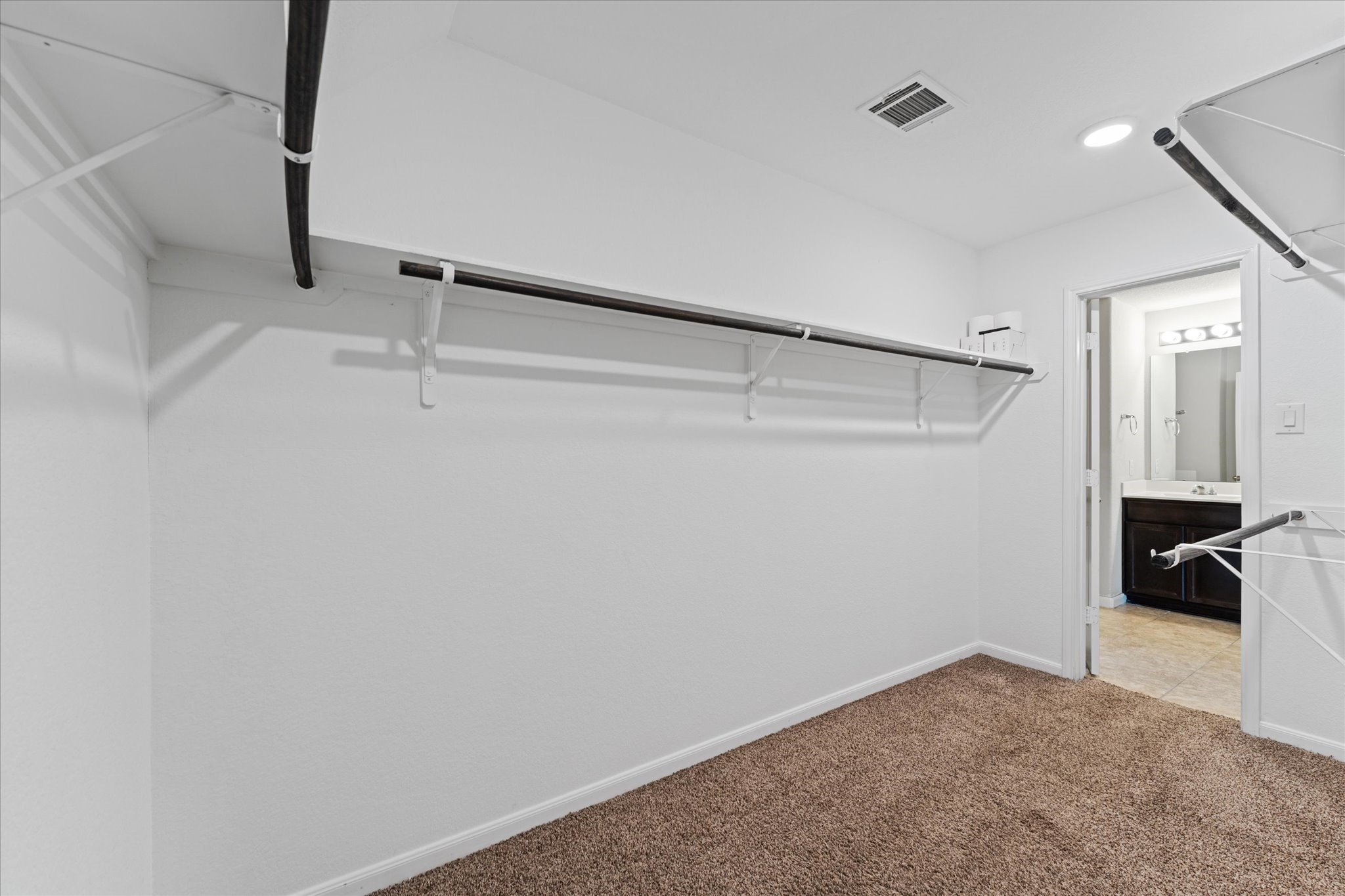 3010 Specklebelly Drive Property Photo 34