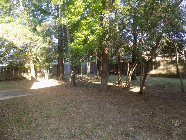 12738 Cooper Breaks Drive Property Photo 13