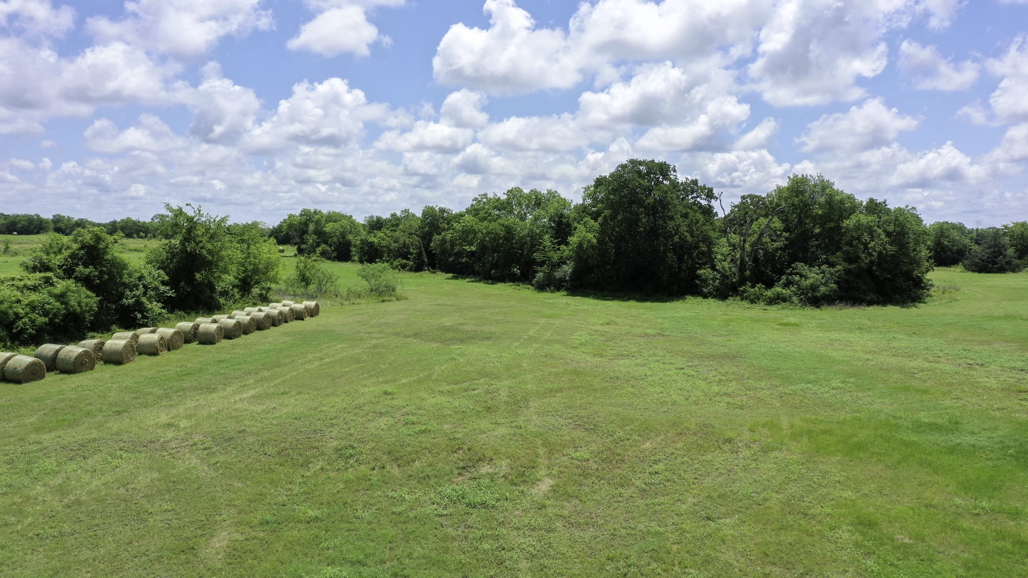 4853 Fm 1428 Property Photo 1