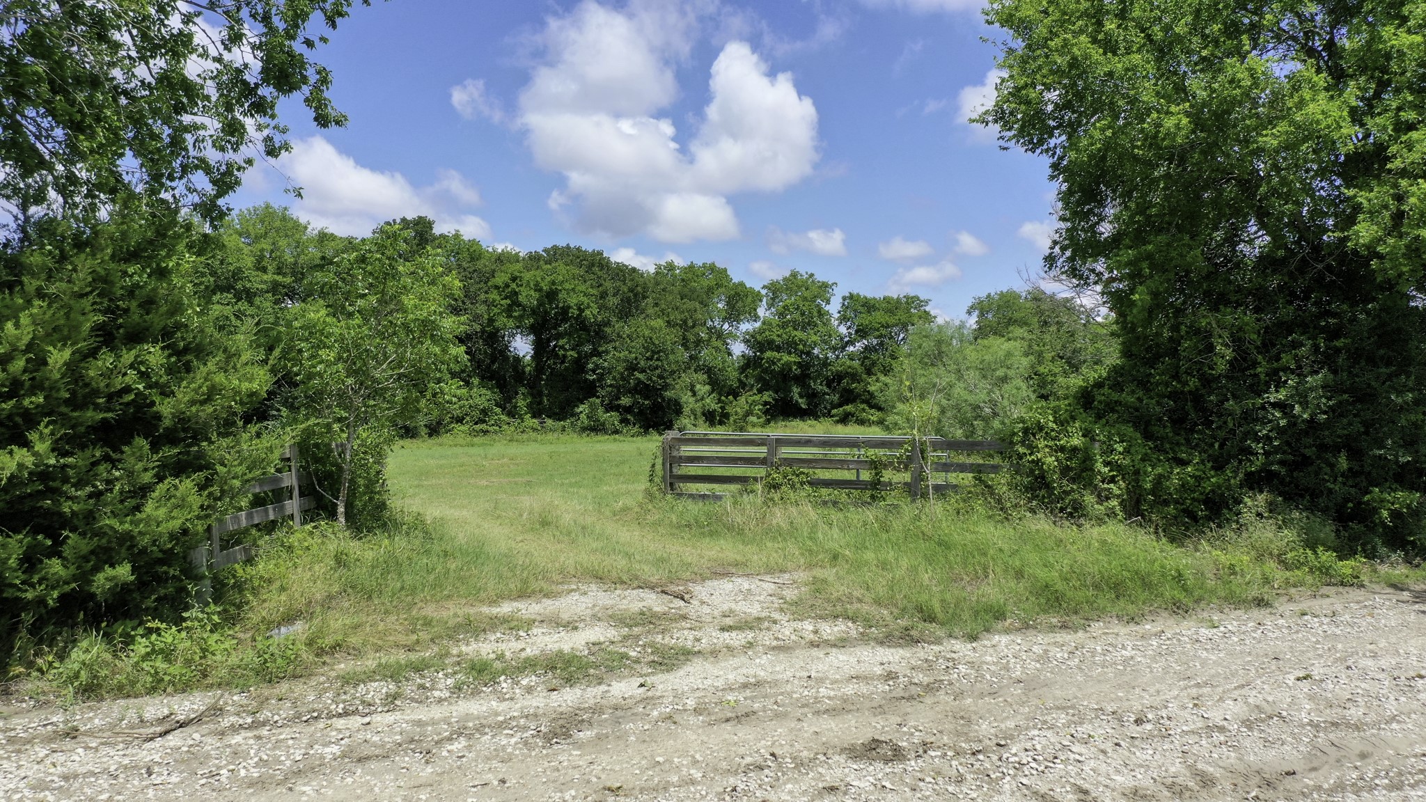 4853 Fm 1428 Property Photo 4