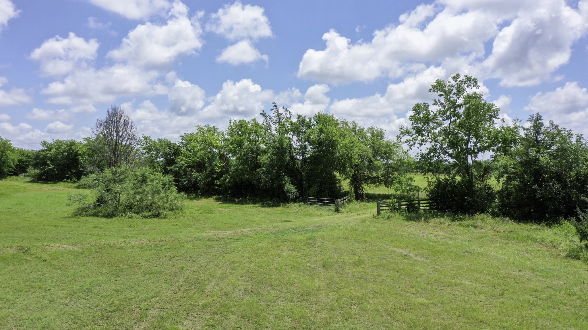 4853 Fm 1428 Property Photo 6