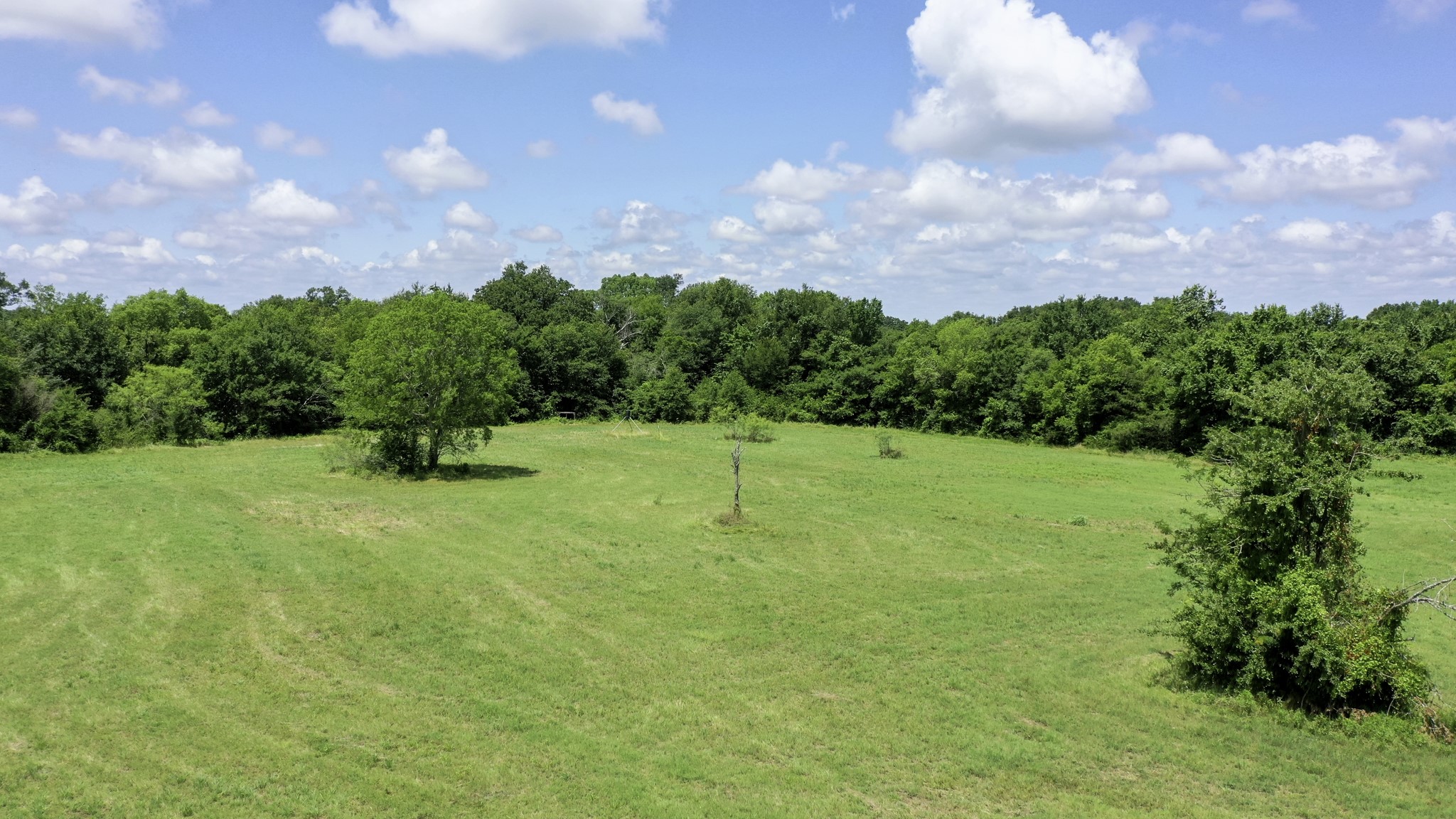 4853 Fm 1428 Property Photo 7