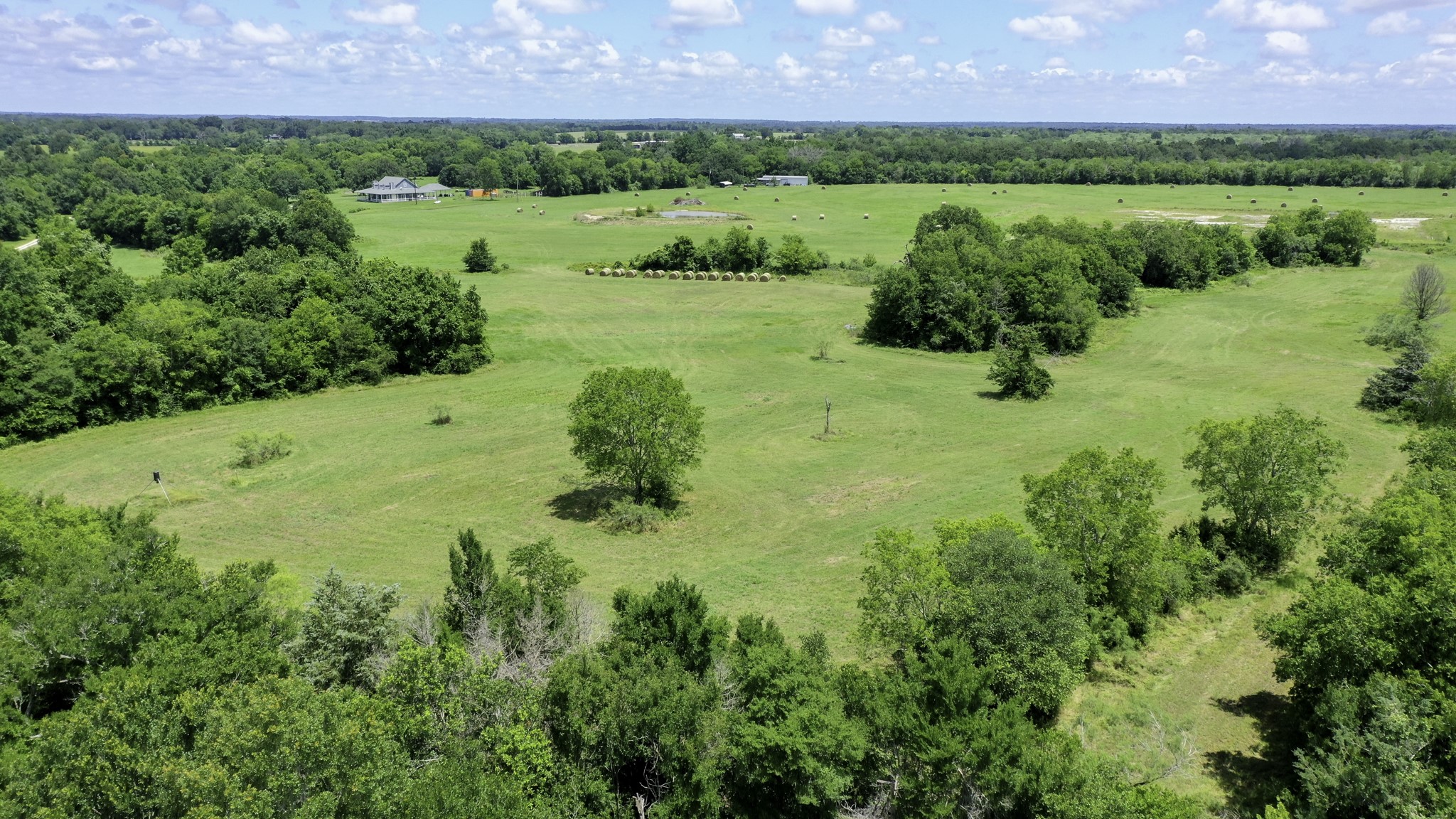 4853 Fm 1428 Property Photo 8