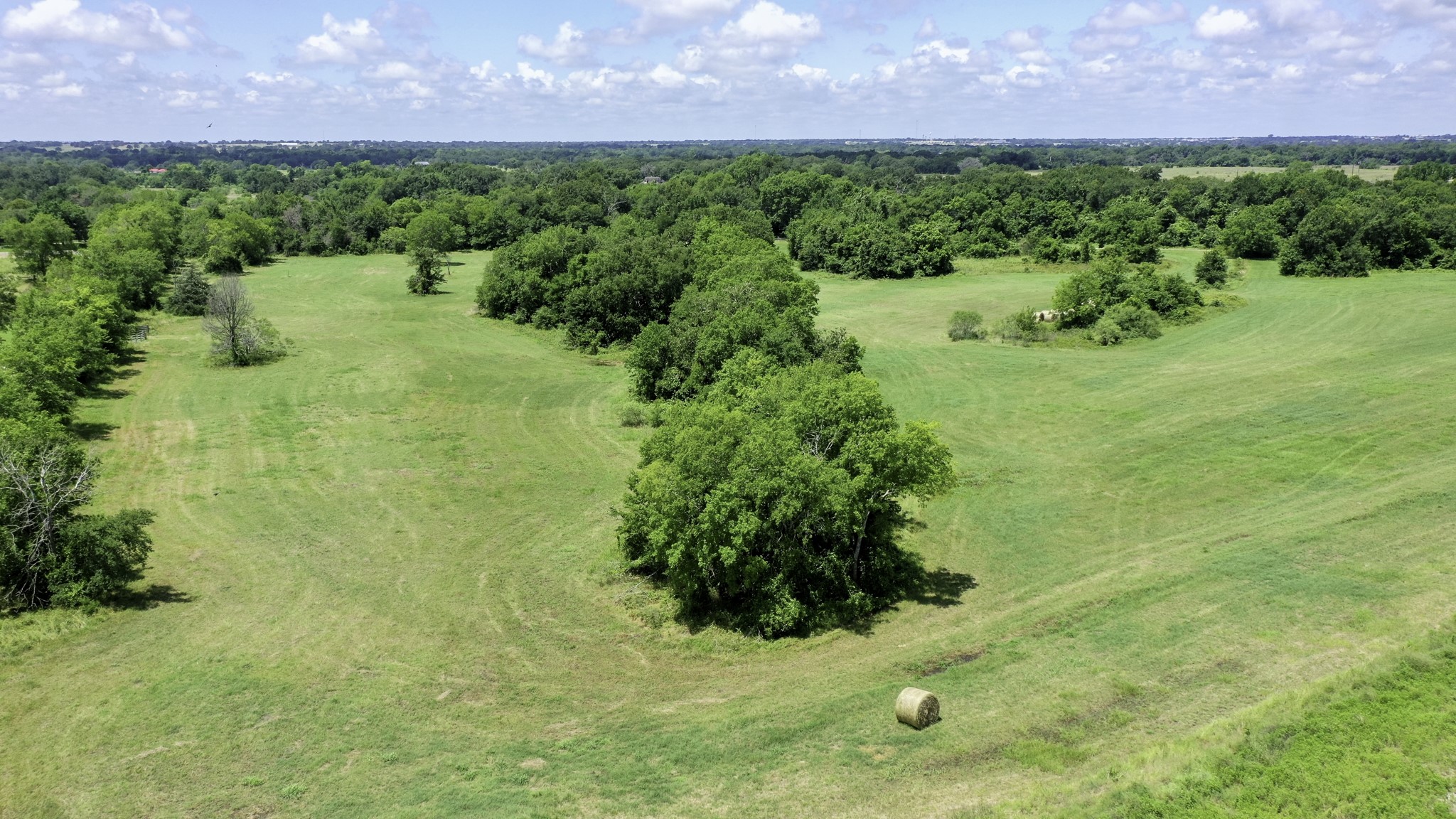 4853 Fm 1428 Property Photo 10