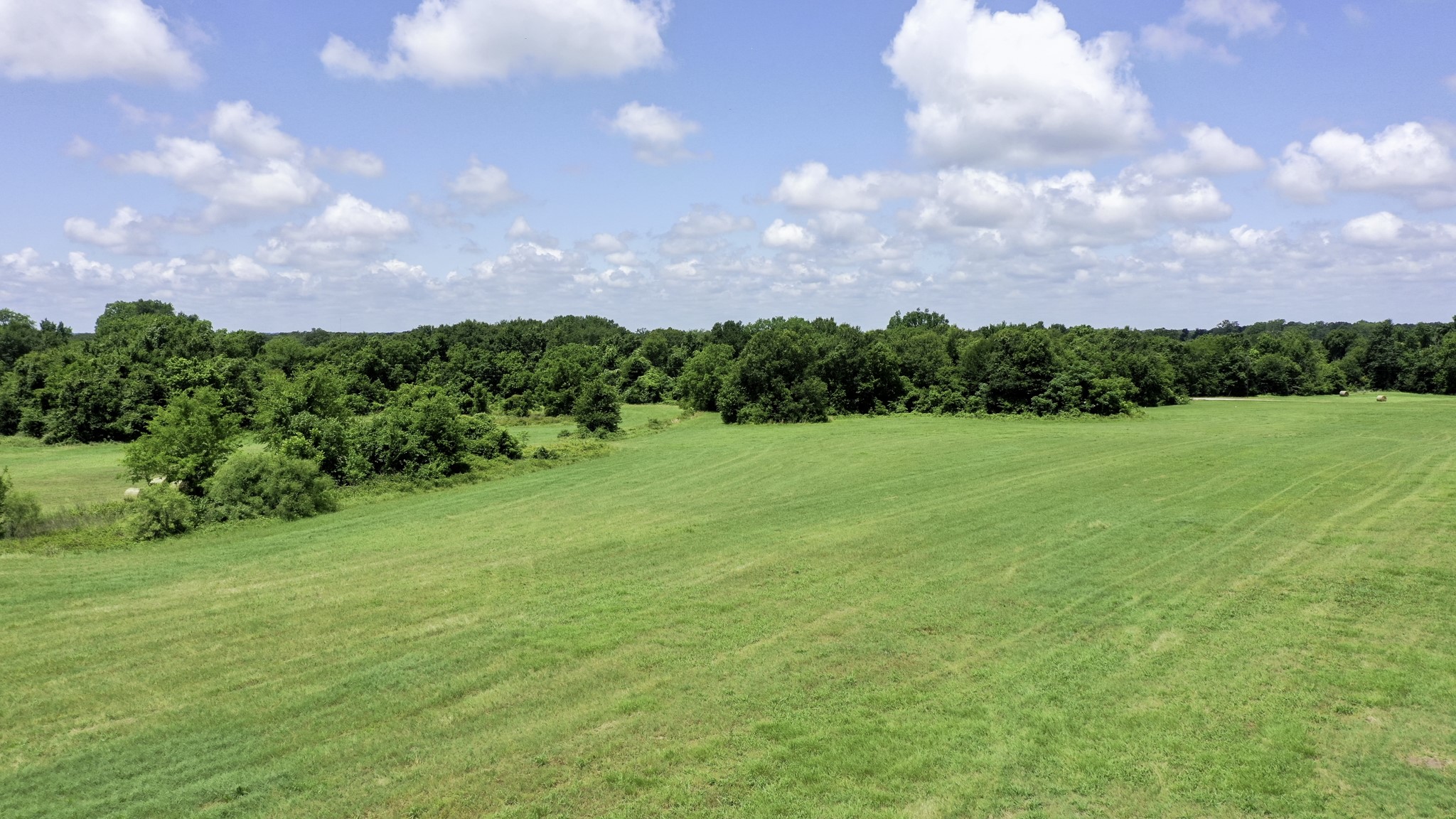 4853 Fm 1428 Property Photo 11