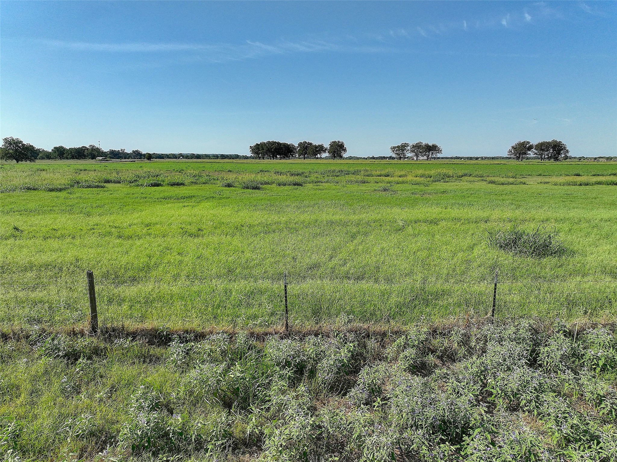 0000 Golden Valley Lane Property Photo 13