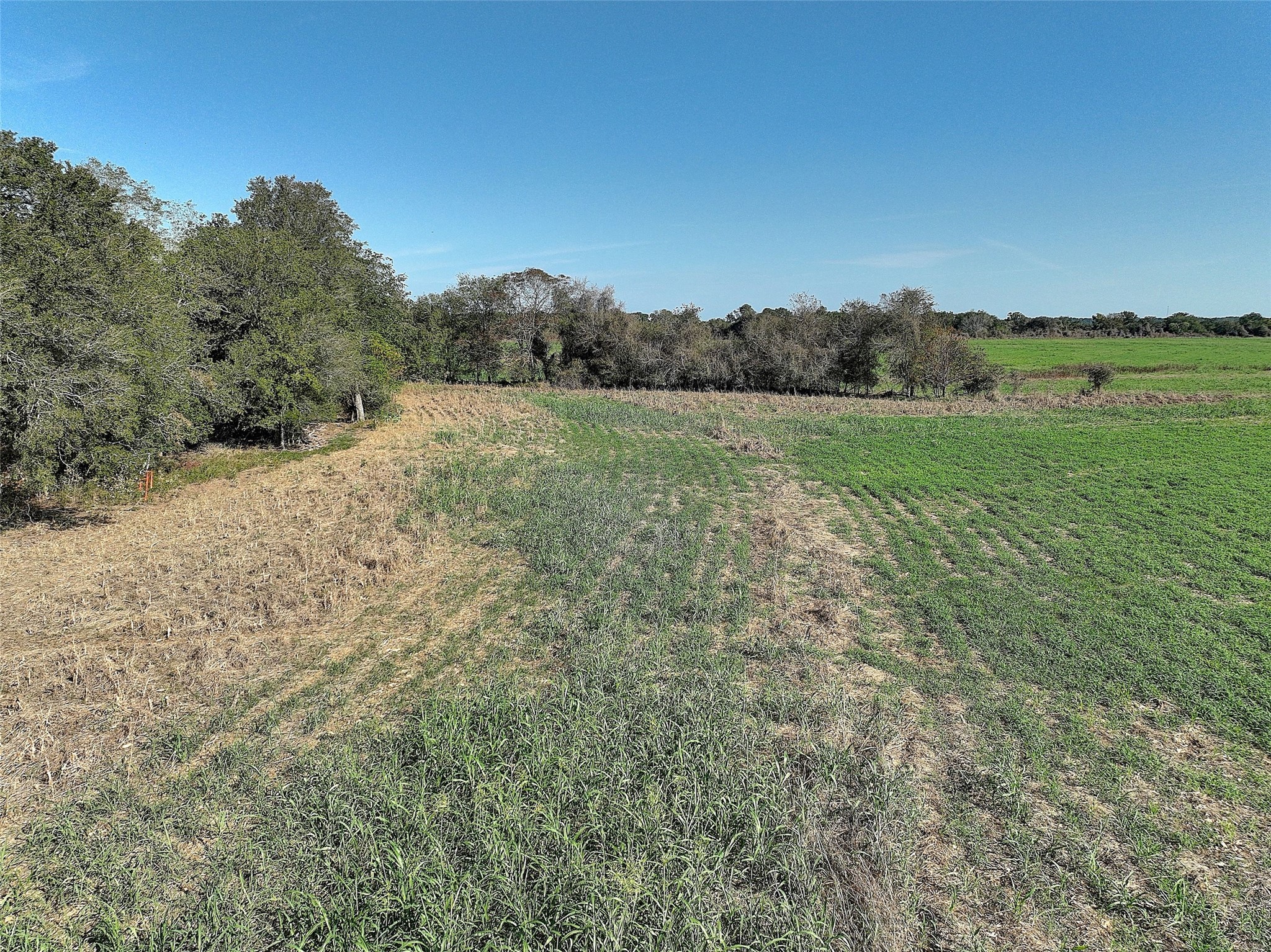 0000 Golden Valley Lane Property Photo 17