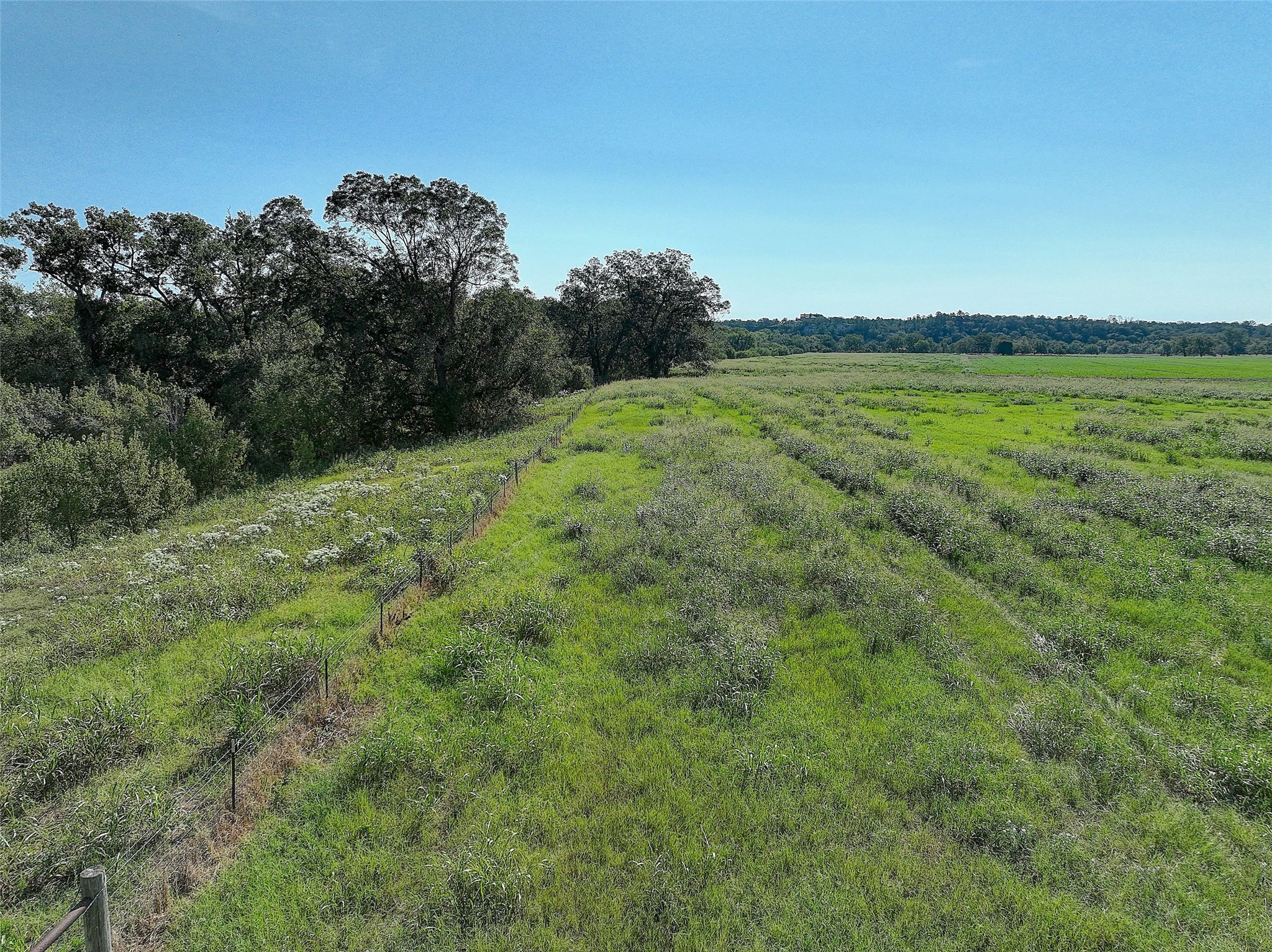 0000 Golden Valley Lane Property Photo 19