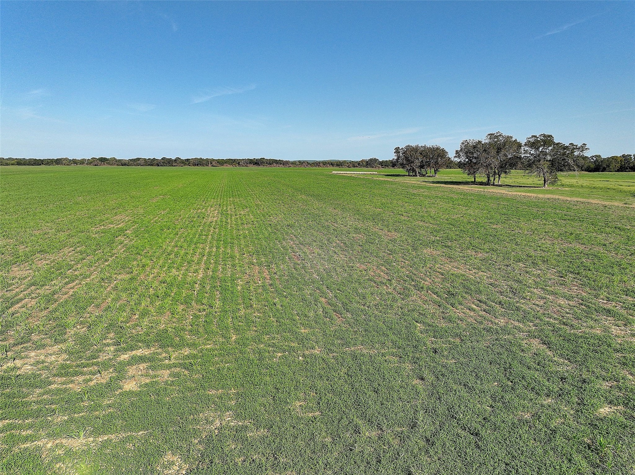 0000 Golden Valley Lane Property Photo 22