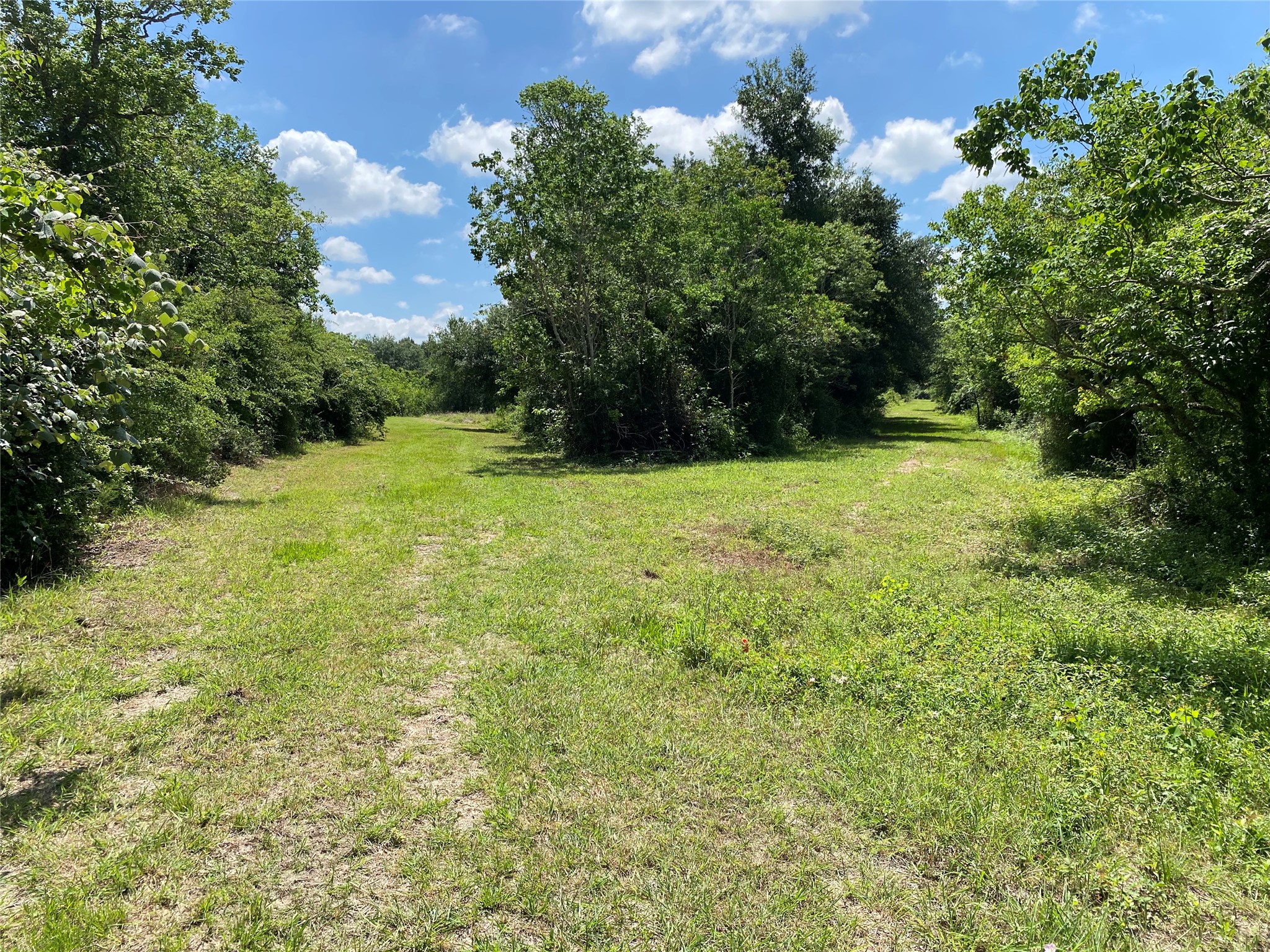 6115 S Highway 35 Property Photo 7