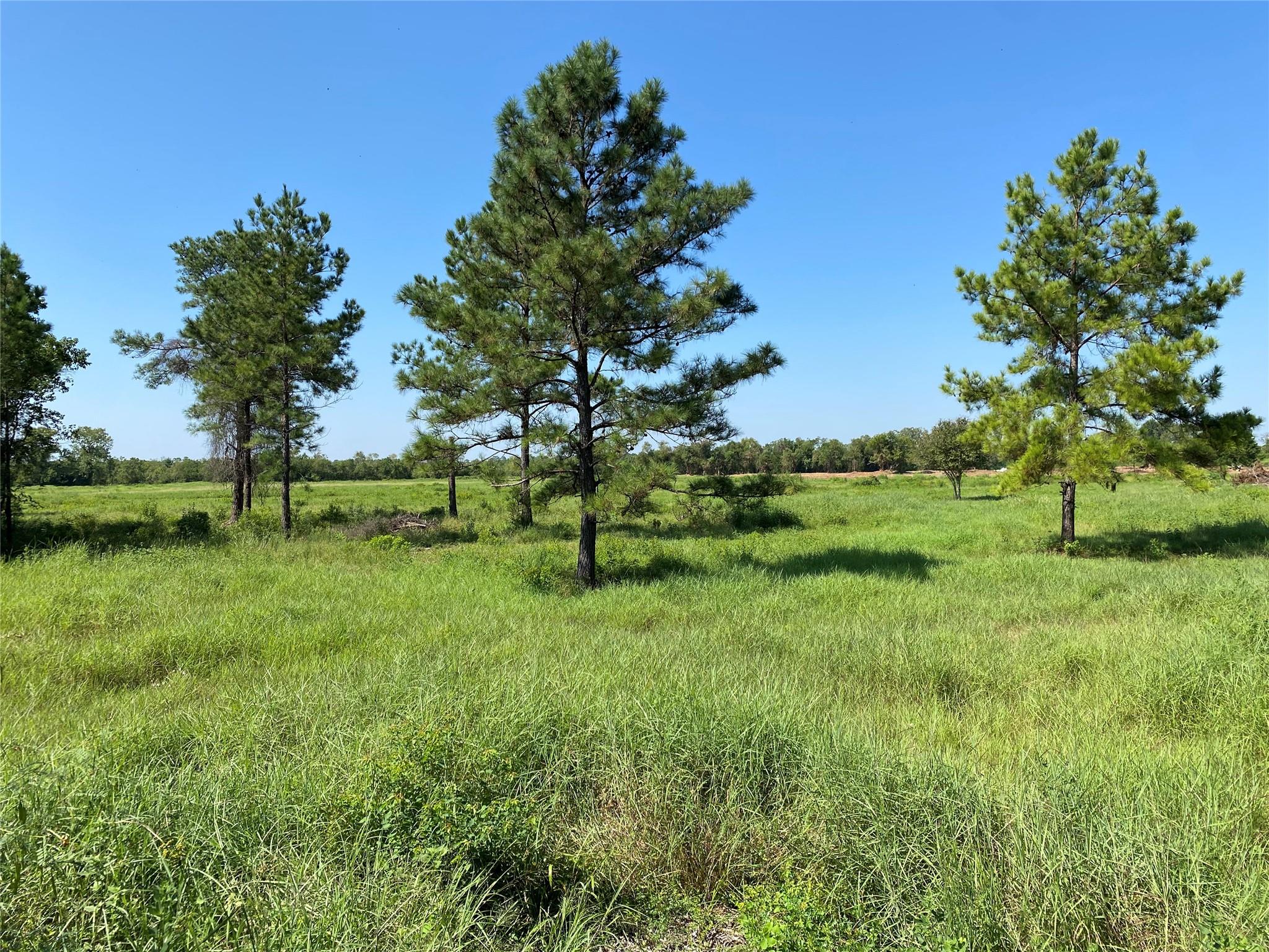 6115 S Highway 35, Alvin Tx 77511 Property Photo 22