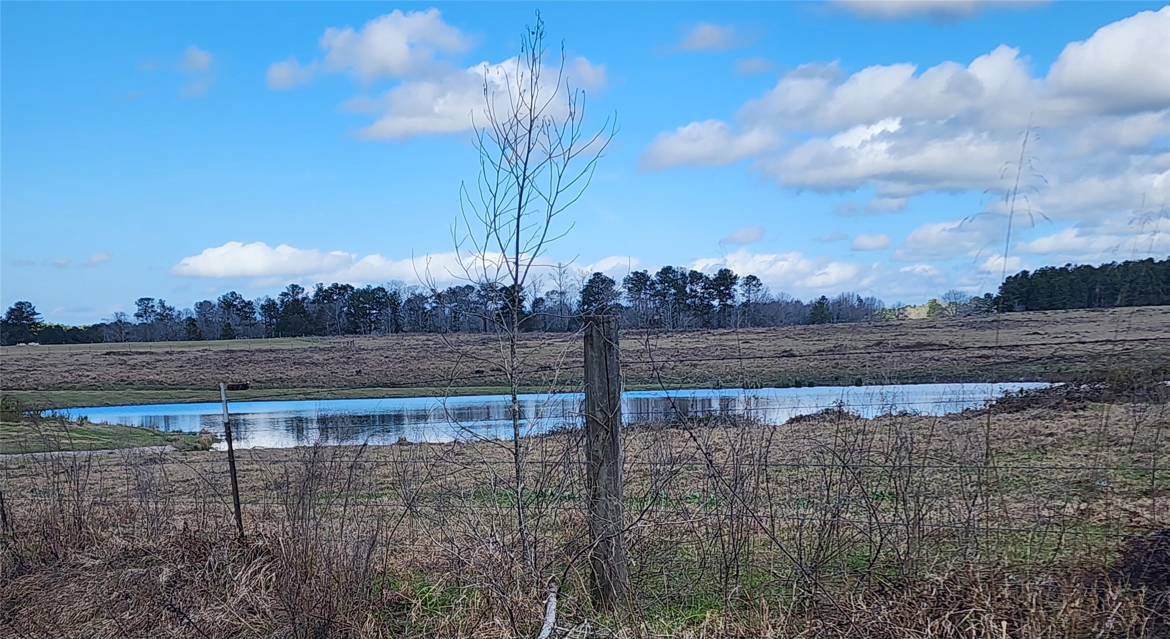 Tbd Nelson Road Property Photo 1
