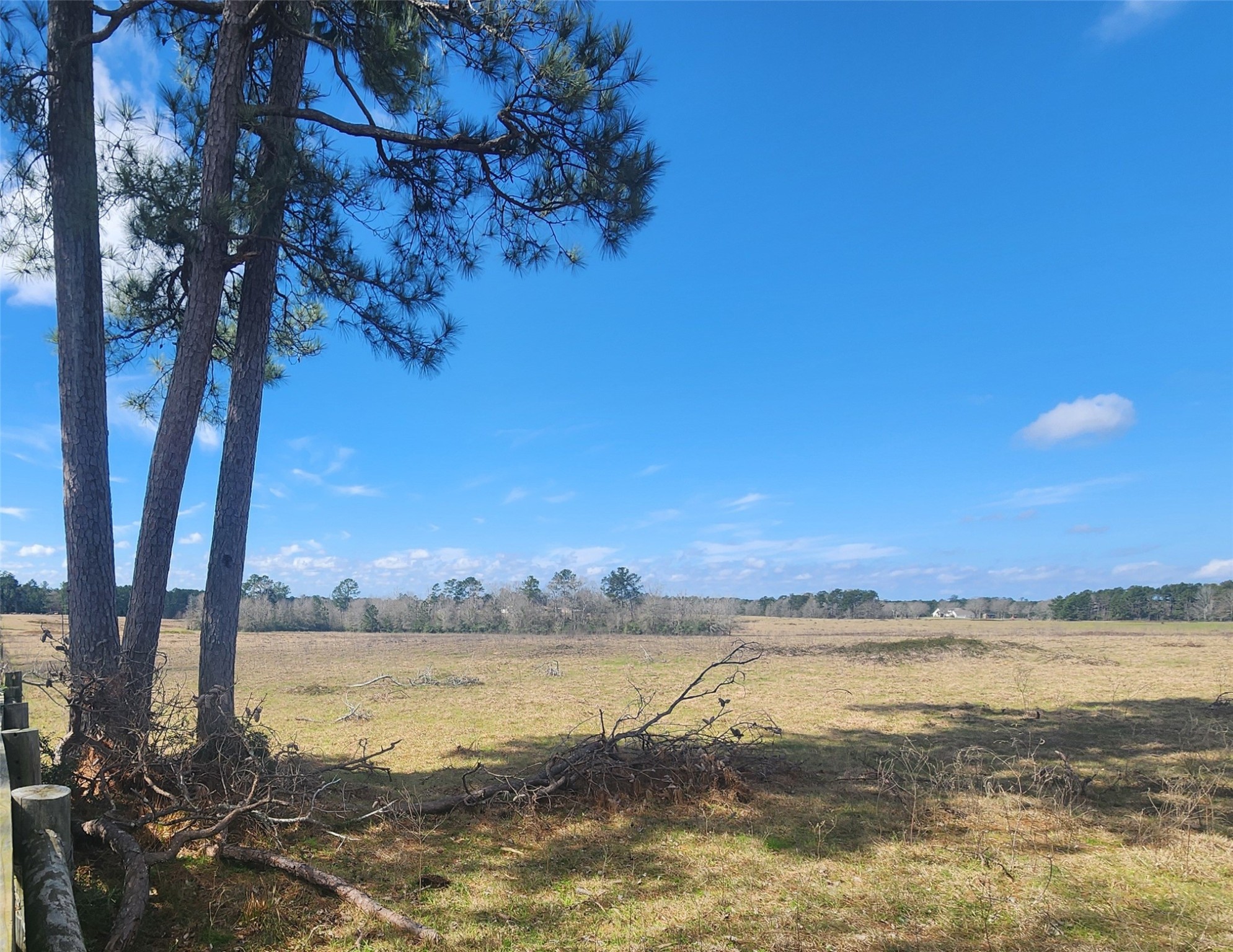 Tbd Nelson Road Property Photo 2