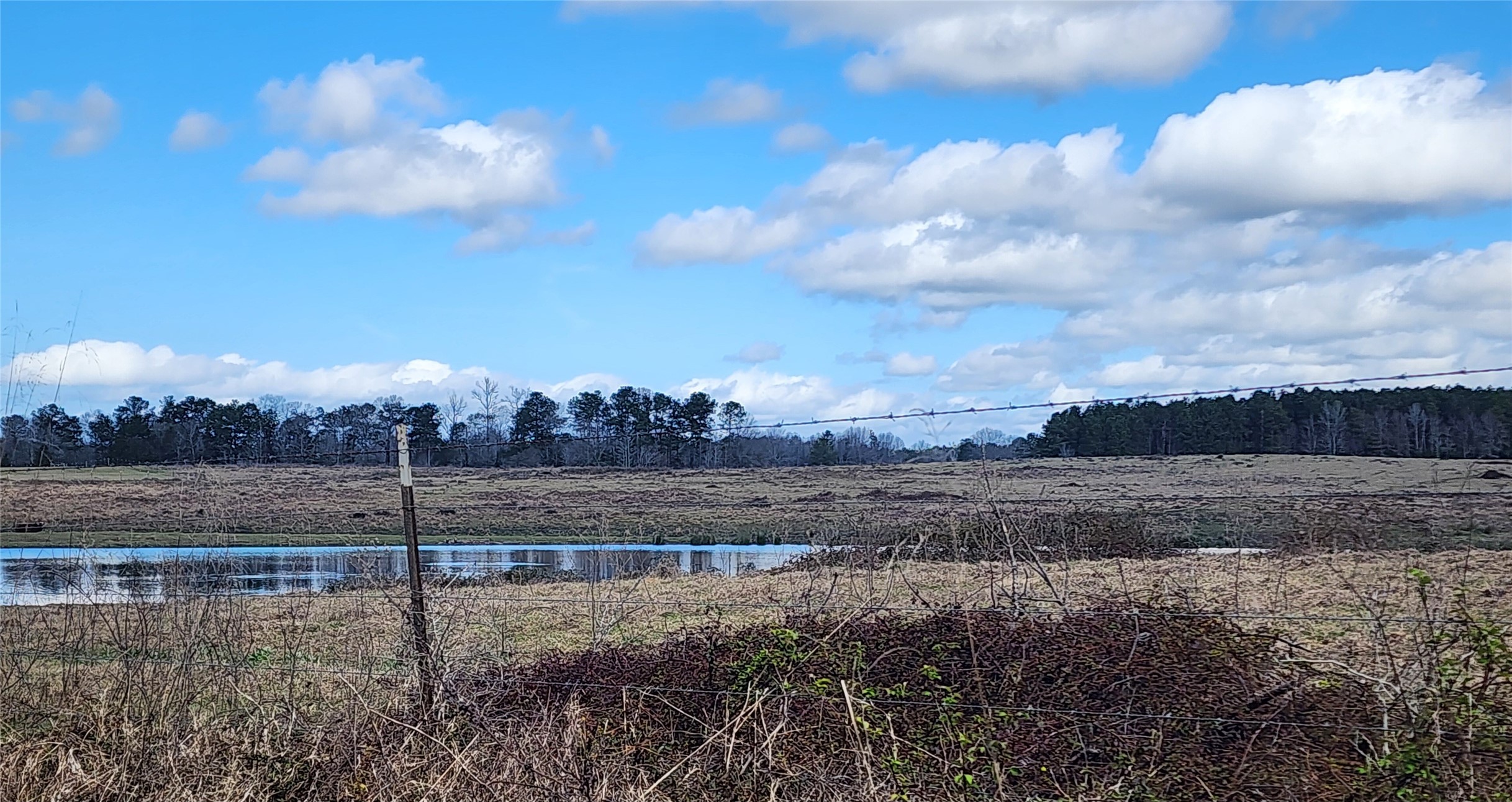 Tbd Nelson Road Property Photo 3