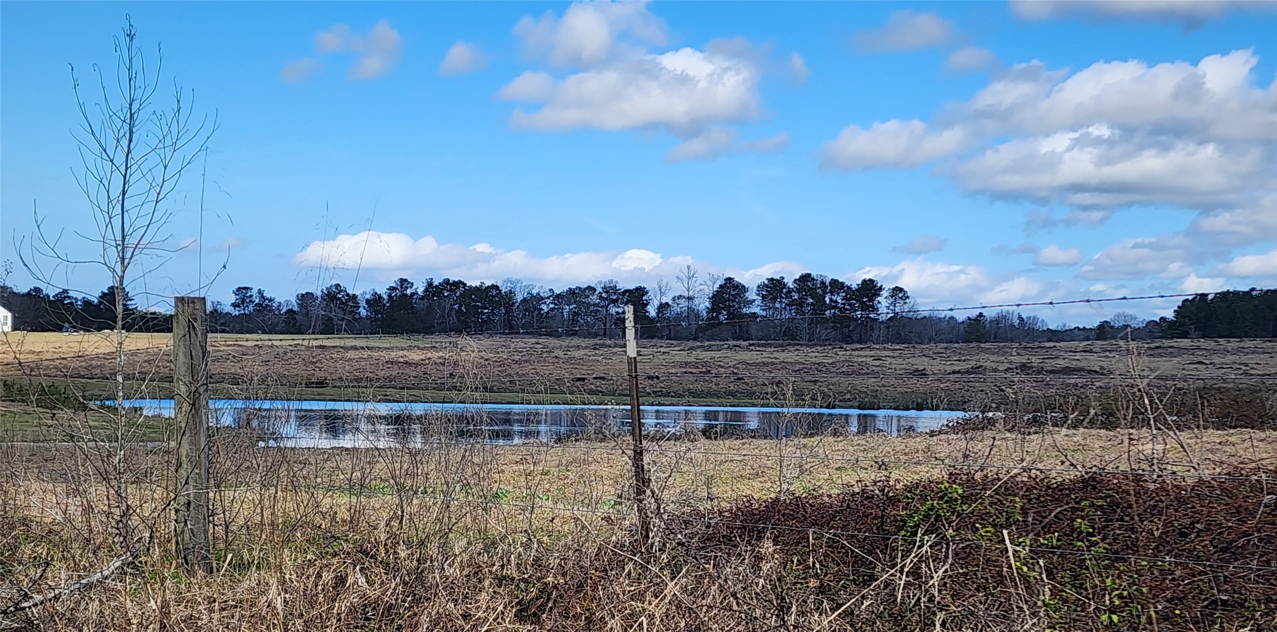 Tbd Nelson Road Property Photo 4
