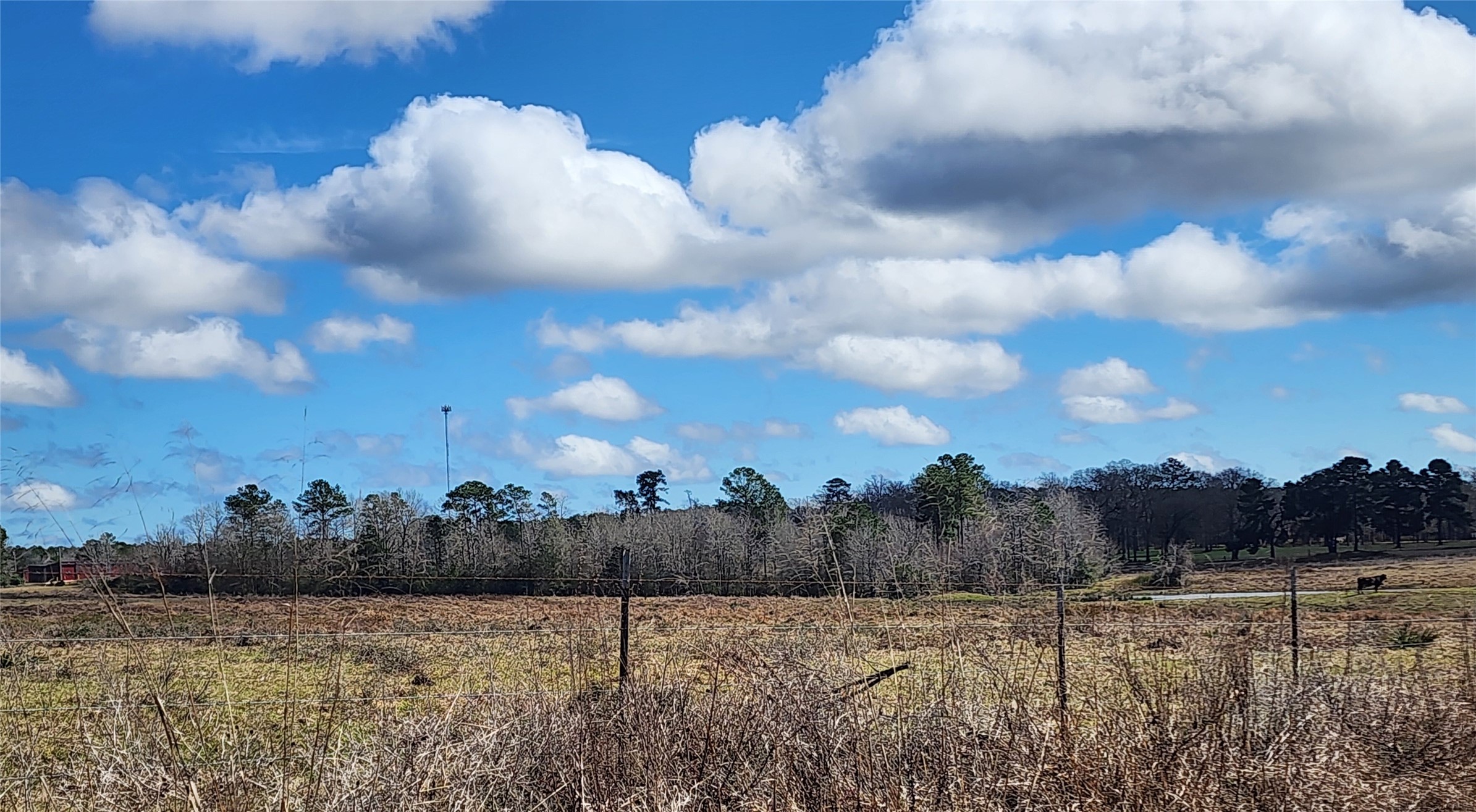 Tbd Nelson Road Property Photo 5