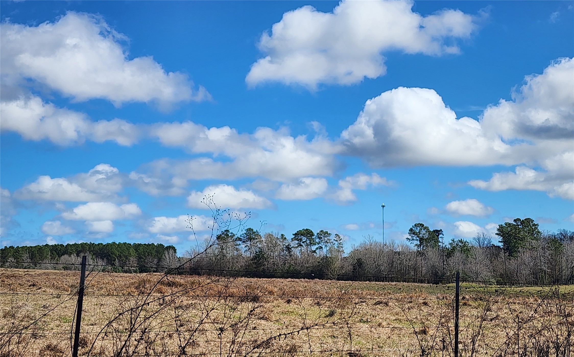 Tbd Nelson Road Property Photo 6