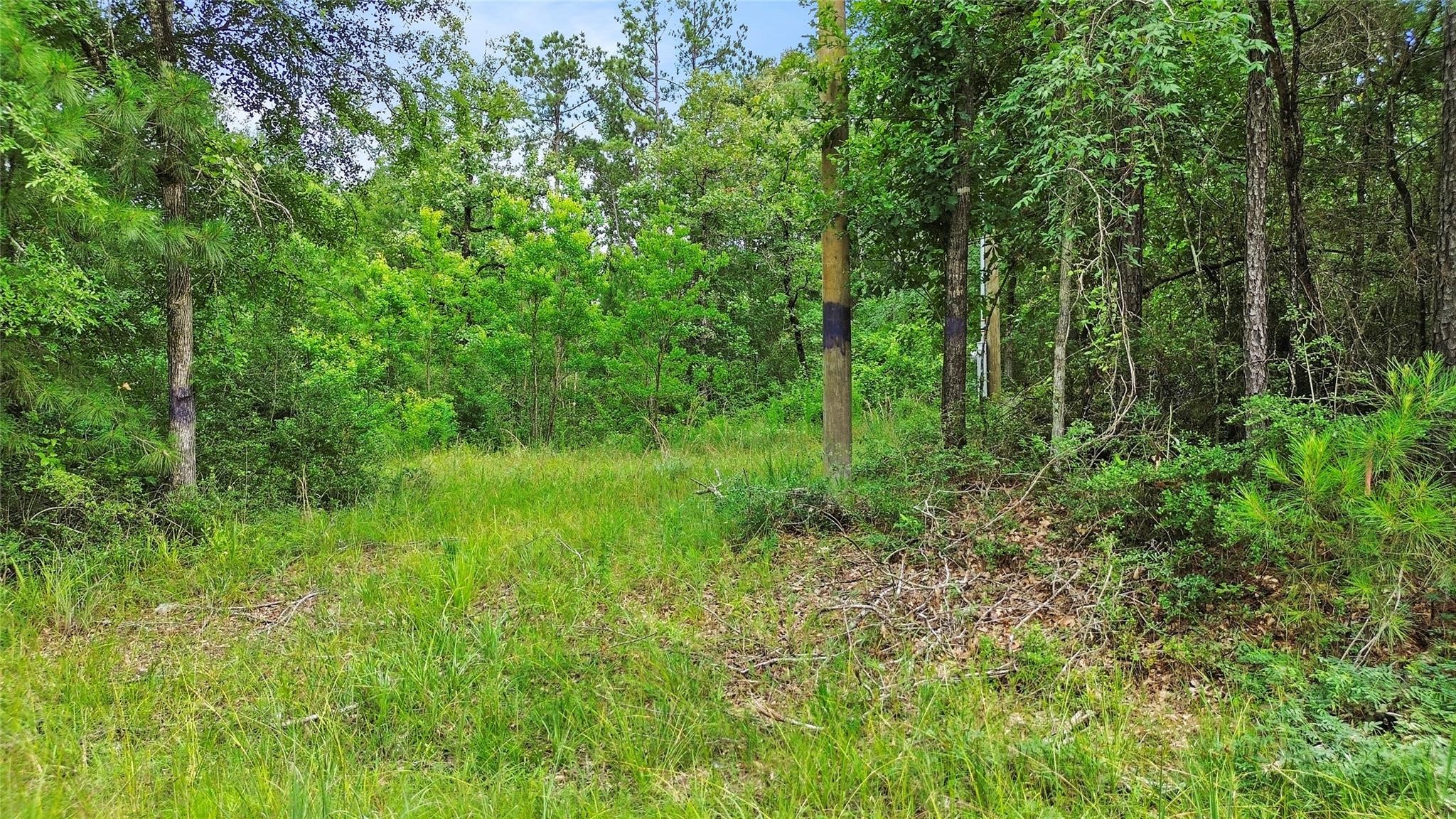 413 N Settlers Way Property Photo 7