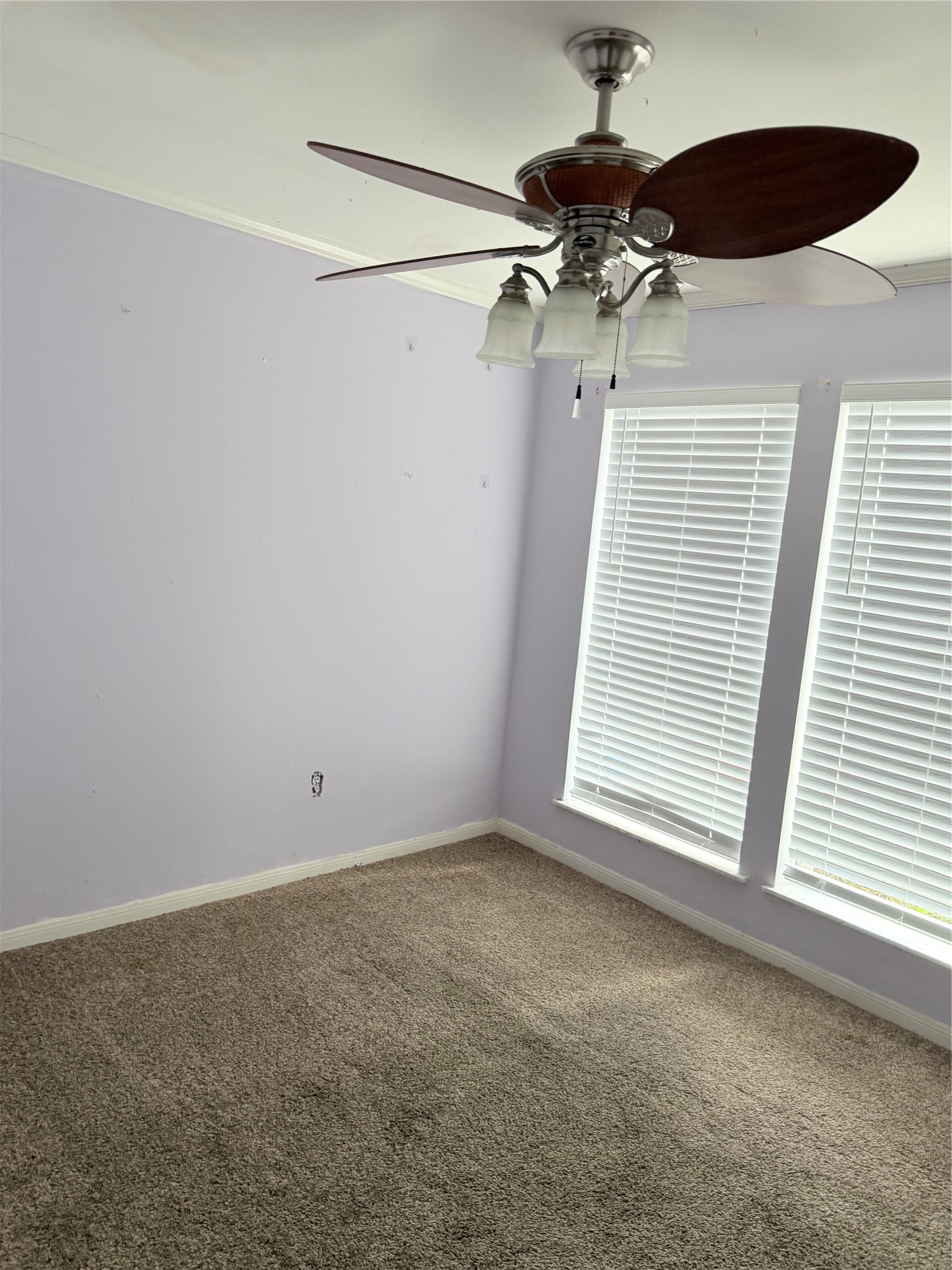 6715 Leandra Drive Property Photo 6