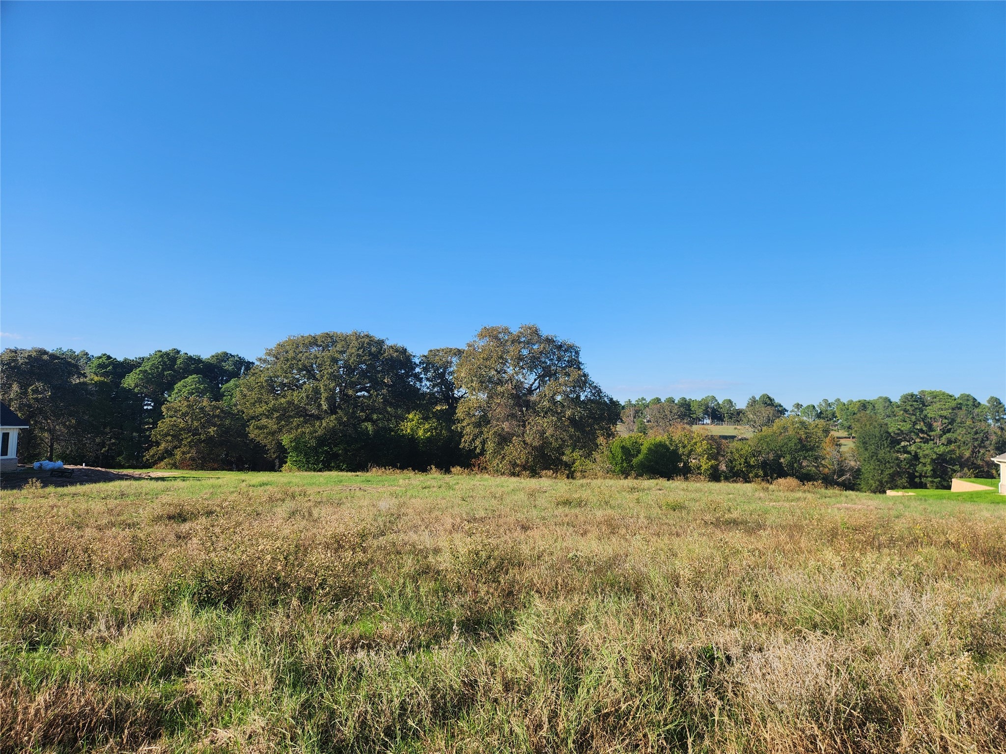 Lot 155 Lago Vista Drive Property Photo 1