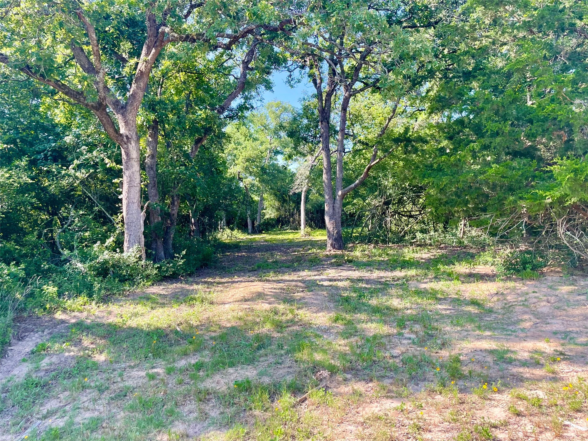 9264 Stetson Drive Property Photo 7